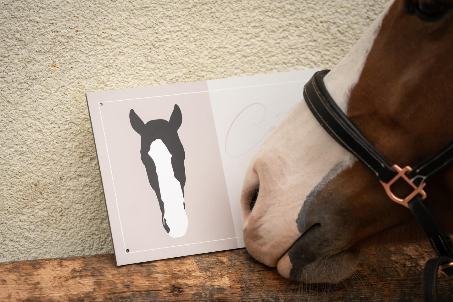 PAUSE 🚨 🩼 leider bleibt der Onlineshop gesundheitsbedingt für einige Wochen geschlossen. Nicht personalisierte Produkte können weiterhin bestellt werden, aber leider fällt der kreative Part aus, sodass erstmal keine Boxenschilder, Poster und Co. Verfügbar sind. Danke für euer Verständnis 🫶