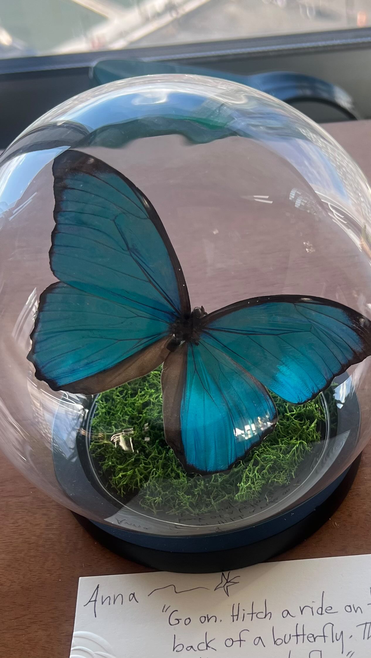 โก๏ธ Ladies - are you in a place where you want this year to be different? โก๏ธ
๐งญ A year in which you want to feel like youโre leading your way on your path vs being led by each day as it comes?
โจ Last year I brought together a group of women, who wanted just that! They came together as strangers all with an intention to show up for themselves alongside other women also willing to do the work, for themselves - together! โจ
What happened?
๐ฃ๏ธ They discovered that they thought they knew the paths they wanted to be on, however; some discovered that the paths they were choosing may have been taking them in the wrong direction;they discovered that if they want to switch things up and change paths that's absolutely okay! Some discovered they were more on track than they had realized and others recommitted to the path they were choosing! ๐ฆ
๐ซถ๐ผ They also discovered that sometimes, life has other ideas and you need to pause to deal with the unexpected. And in those moments they realized they were more connected to each other than they had thought.
๐ They began their 2025 journey as strangers wanting to commit to themselves and connect with others, they closed out 2025, with new lifelong friendships and a clearer direction!
๐งฉ Whether you know youโre heading in the right direction, or whether you want to discover which path is right for you in 2026 - everything is more fun with friends!
โจ Message me to learn more about our 2026 program and how you can level up your plan - My groups are purposefully intimate (4-6 people), we meet once a month in the evening East Coast time - but feel free to join us from wherever you are! โจ
#bettertogether #dowhatmakesyoursoulshine #womensupportingwomen #2026 #thrive entrepreneurialsoul
๐ฆ Picture: The beautiful gift I received from the 2025 She Thrives Cohort - it totally made my soul shine! expecttheunexpected butterflies grateful
Thank you ladies! ๐ฆ