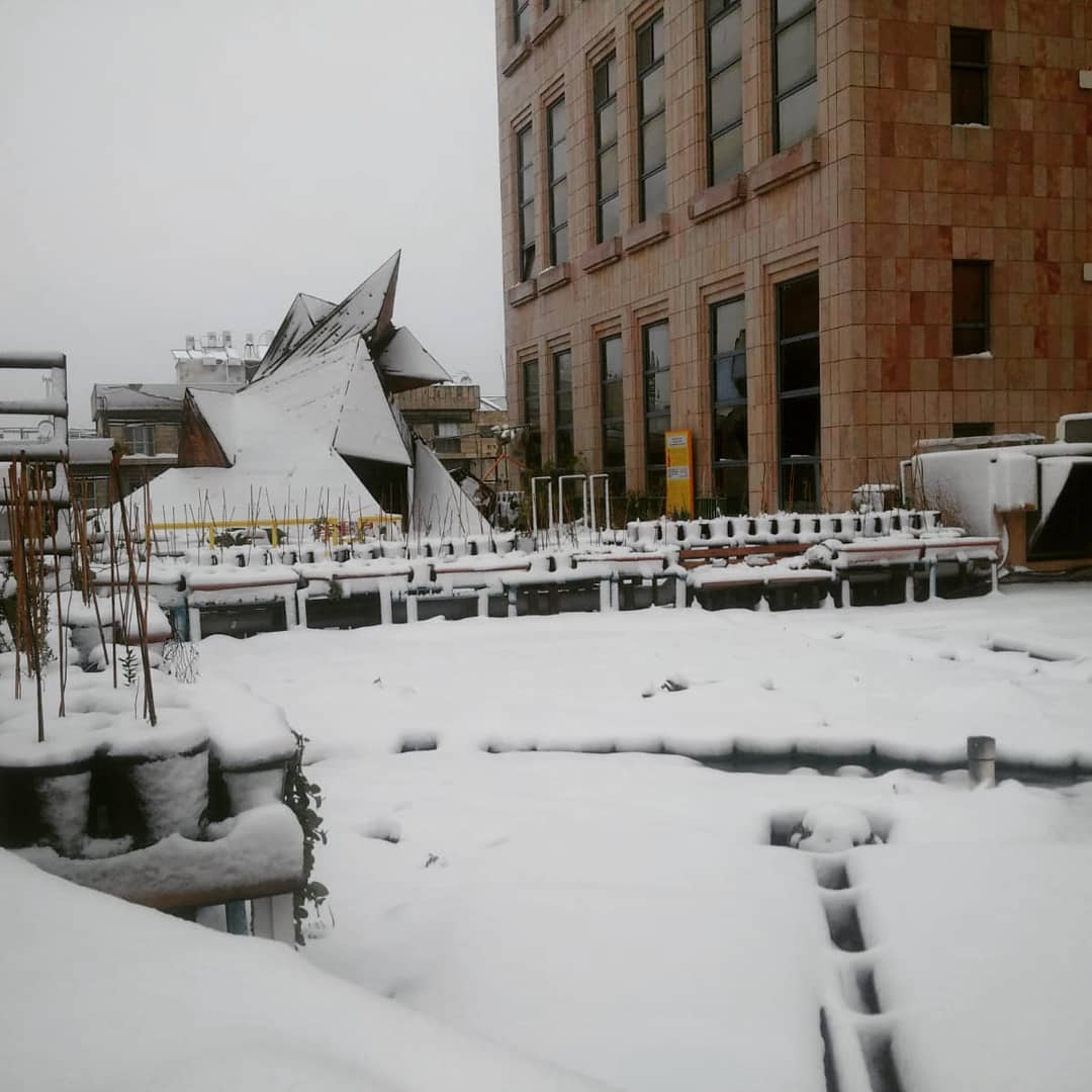 green roof in white 🥶
❤️ @muslalajlm
#greenroof, #בנייןצומח, #bldveg, #גגירוק, #oikosteges, #גגצומח, #israel, #שלג, #snow, #greenroofpolicy, #greenroofs, #muslala, #מוסללה, #jerusalem, #ירושלים