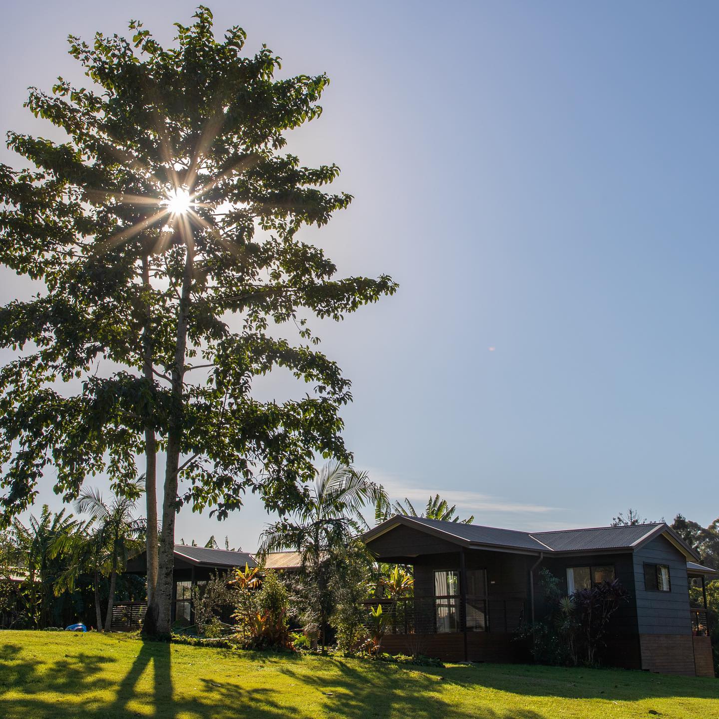 Another beautiful day at @wybalenaorganicfarm ☀️
📸 @judecohen