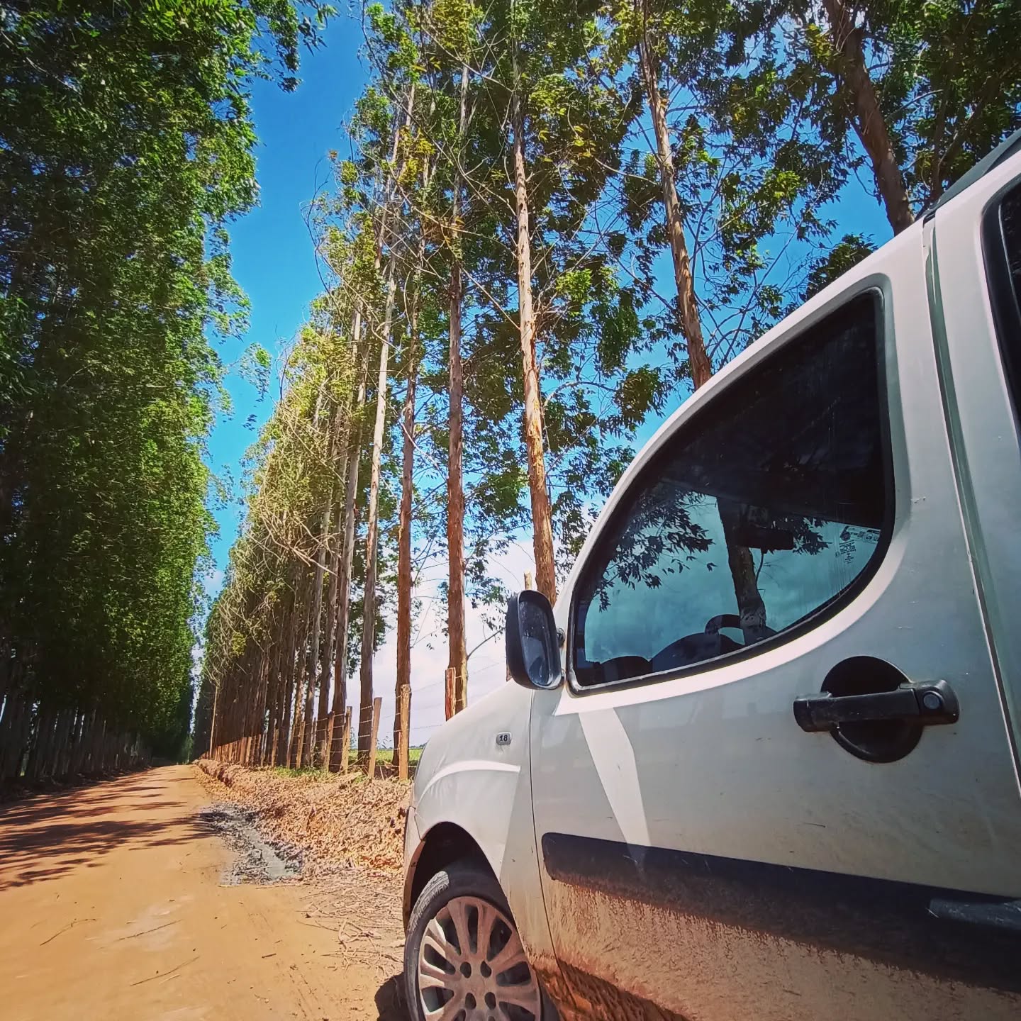 #caraiva é logo ali, então...
#simboracaraiva