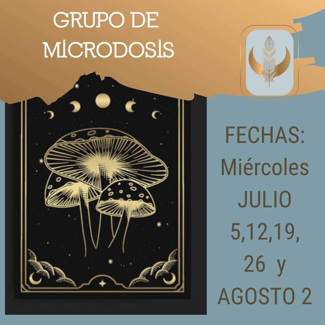 Date este verano la Experiencia para Profundizar y Renovarte.
Grupo Reducido en Sesiones Online.
Trabajaremos Intención, Herramientas Mindfulness para la Vida Diaria, Conexión con el Valor Unico.