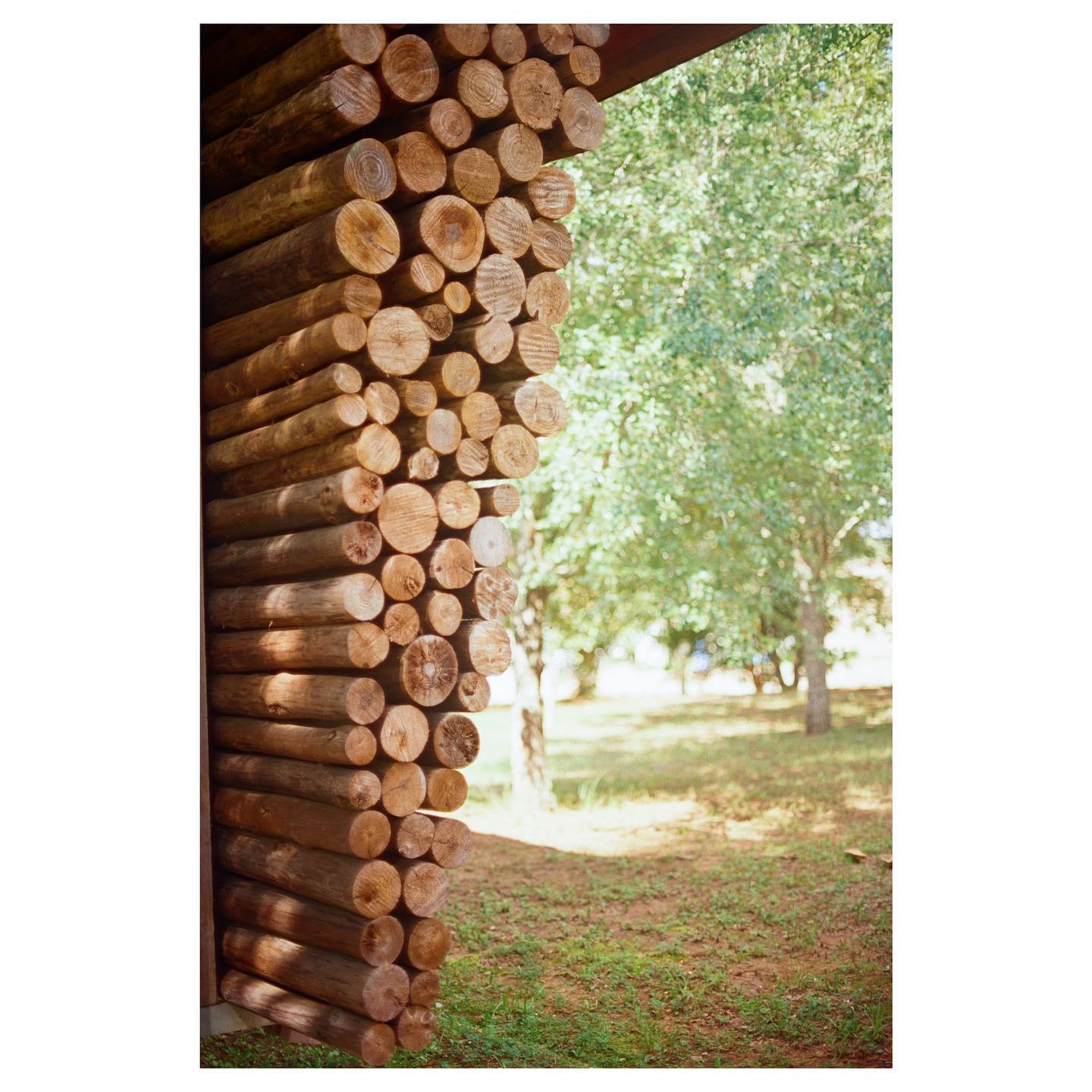 @ rural studio
📷: canon ae-1 / kodak ektar 100
#ae1 #35mm #canon #canonae1 #ektar100 #kodak #kodakektar100