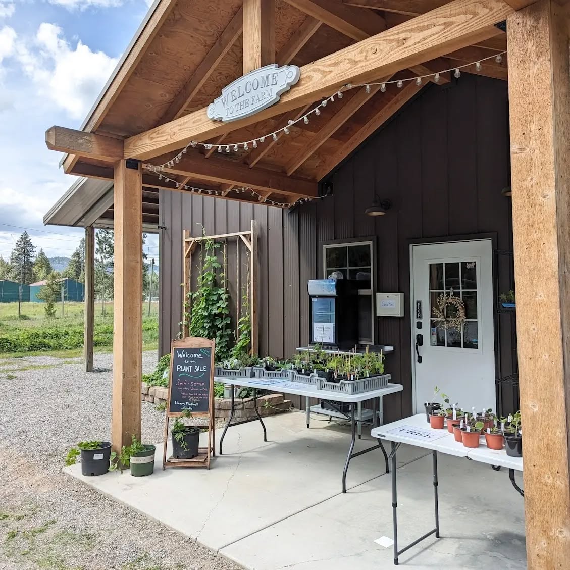 PLANT SALE UPDATE: Thank you all who have come and found plants for your garden.
We're now switching to self-serve with 2 tables of plants (one free and one $3/plant). Swing by and add some new varieties to your garden.
OPEN Saturday until 5 pm & Sunday 9-12!
We're accepting Venmo or Cash. Thank you!!