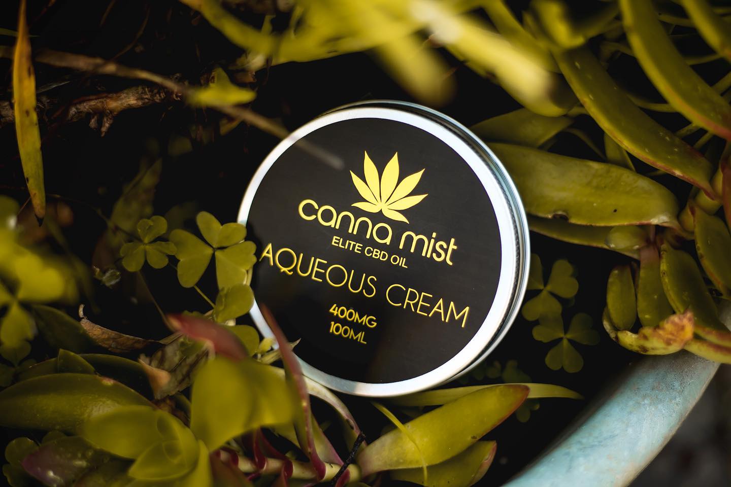 Canna Mist CBD Aqueous Cream is a basic cream that is used more for medical rather than beauty reasons, although could be used for beauty reasons aswell.
Specific researched ingredients are added to the Aqueous Cream to ensure it delivers the maximum treatment for conditions like: arthritis, eczema, psoriasis, acne, rash infections and similar conditions.
Comes in a 100ml tub
Aqueous Cream - 100g
CBD Strength - 400mg
#cbd#cbdcreams#cbdhealth#cbdskincare#cbdbenefits#skincare#cbdlife#cbdbeauty#beauty#skincareproducts#cbdcream#aqueous#cbdlotion#cbdforskin