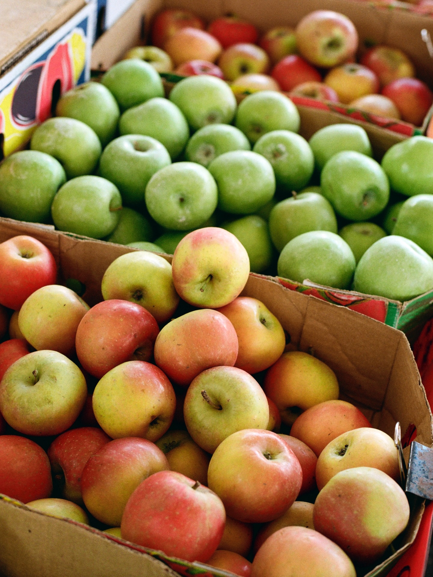 Beautiful and refreshing blends coming your way !🍋🫚🍎
Come and visit us at one of our markets this weekend❤️
Saturday:
@geelongcitymarket
@farmersmarketcarlton
@farmersmarketcoburg
@palmbeachfarmersmarket
@melbournefarmersmarkets
Sunday:
@farmersmarketalphington
@elthamfarmersmarket
@mulgravefarmersmarket
☀️💛🥤