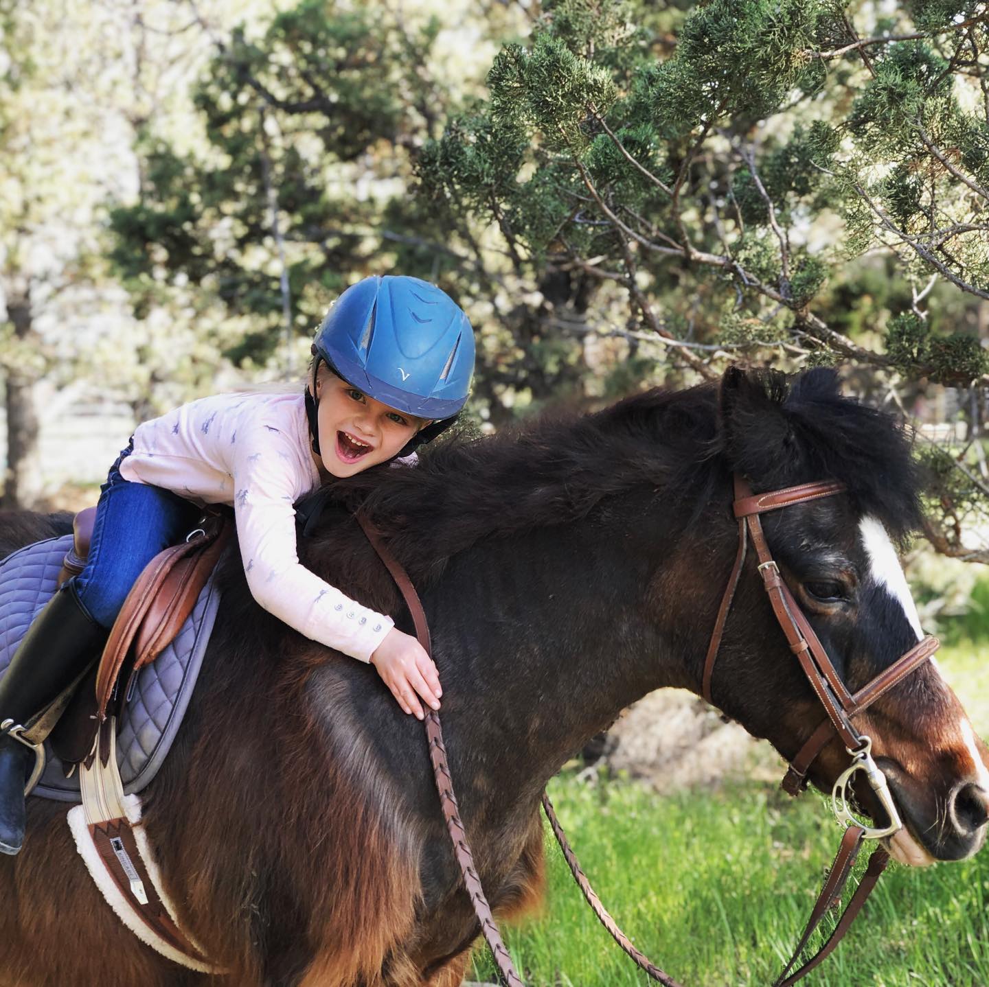 5-year-old Ayla is a little bit excited about her first day ever steering on the trail. ............. #trailrides #ponylover #hugahorse #ponyrider #ridinglesson #kindergarteners #ponyfriend