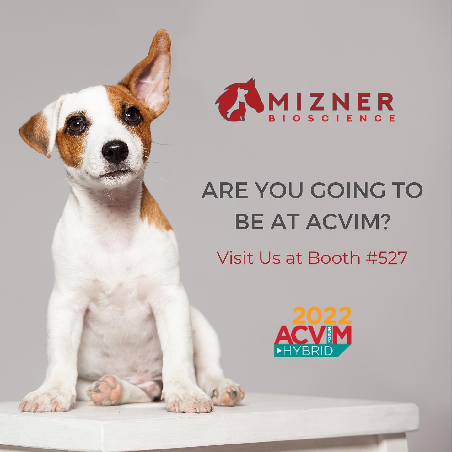 Are you going to be at the 2022 ACVIM Forum? 🐾
🗓 June 23-25
📍 Booth 527
📝 Learn about our products for canine separation anxiety + canine epilepsy
🍻 Happy Hour at our booth Thursday from 3-5 PM
📱 A chance to win an iPhone 13
#MiznerTakesACVIM #ACVIM2022
