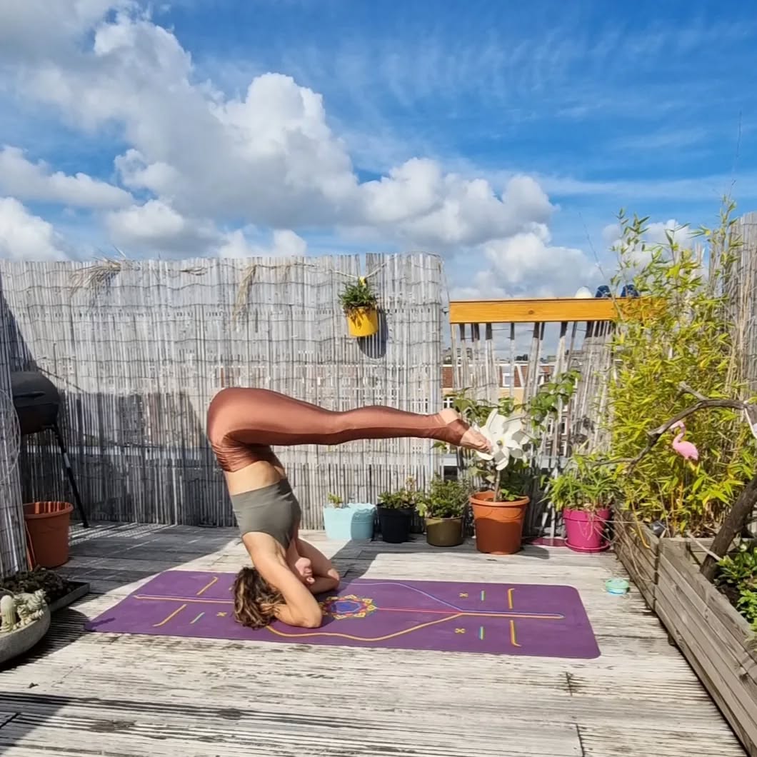 Let's practice Ashtanga Yoga together this summer 🙏
Were you can find me on a weekly basis:
@tula.yogastudios
(Amsterdam BoLo/Westerpark)
Thursday 7.30am-8.30am
Saturday 11.15am-12.45am
@studiobalanceamsterdam
(Amsterdam Rivierenbuurt)
Monday 7.15am-8.30am
Wednesday 18.45-20.00
@organicayoga (website see link in bio)
Pranayama & Meditation Mo&Tu 18.30-19.00 (online)
Vinyasa Flow Su 10.30am (online, Erasmuspark)
Private Yoga sessions
Ayurvedic Massage, Reiki, Sound Healing
(Also on Classpass and/or Onefit)
See you soon💜