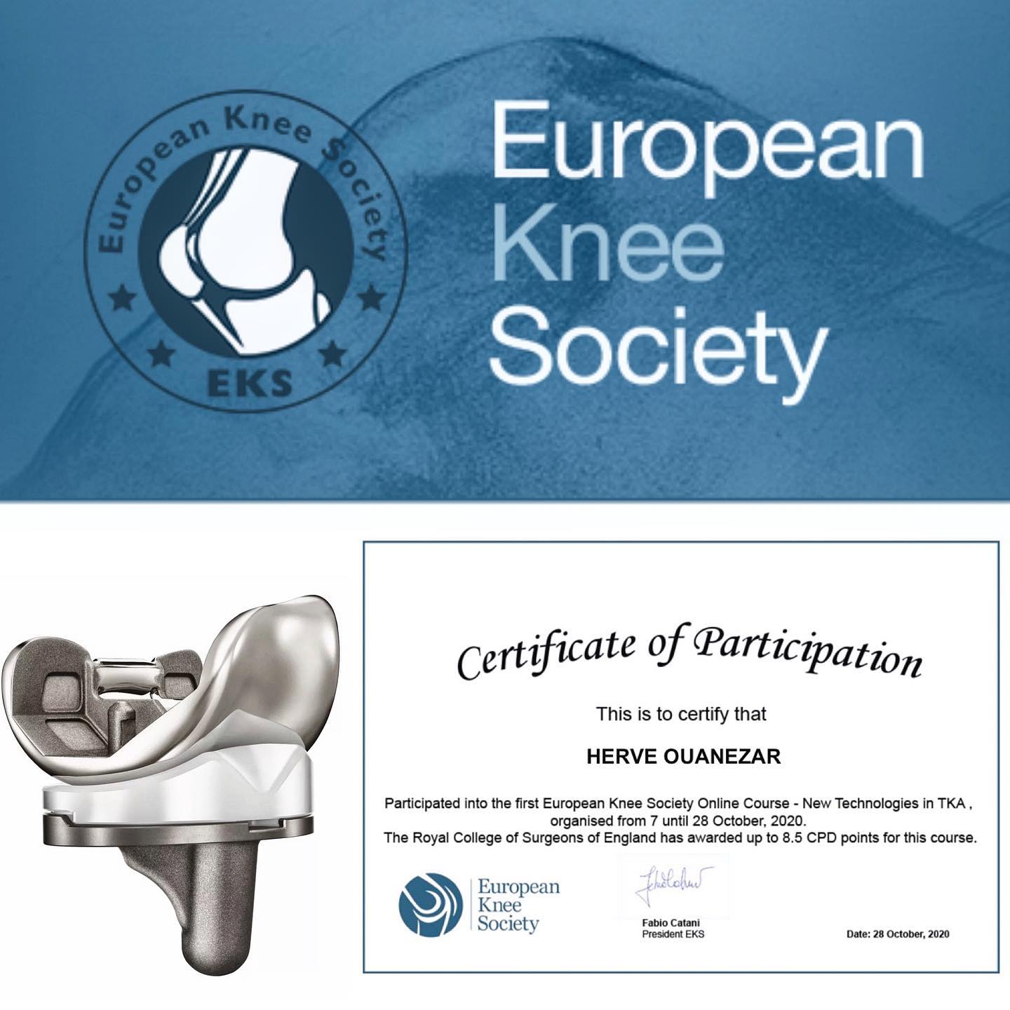 The EKS Online Course! In a very friendly atmosphere, it is today for me the best way to learn the last updates about knee arthroplasty and new technology. Highly recommended!