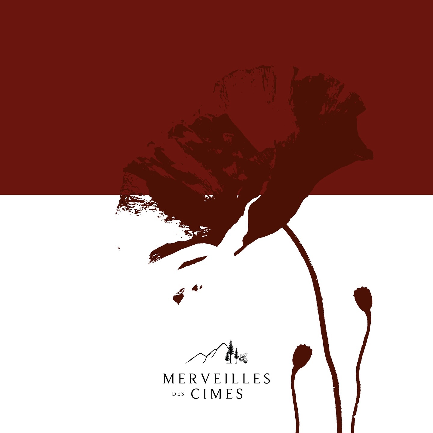 Avez-vous reconnu la délicate silhouette du coquelicot ? 👀
Vous l’avez très largement apprécié ses derniers mois, grâce au sirop de coquelicot que j’ai conçu à la ferme ! ✨
Il n’en reste que quelques uns dans certains points de vente de la régions, n’attendez plus foncez !