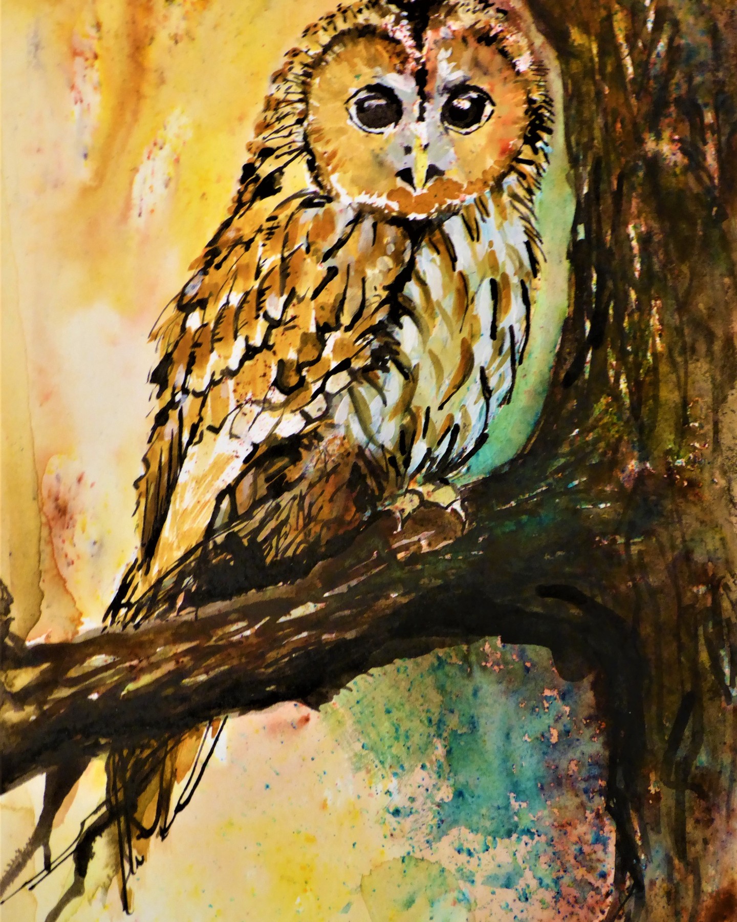 Tawny Owl
Brusho and ink
Sold little Tawny Owl today, to a lovely man who wanted at an affordable birthday present for someone.
Please join us at the Physic Garden in Petersfield this week, between 10am and 4 pm, for more original affordable Art.
Tawny Owl is an exquisite rounded red/ brown bird, which large dark eyes whose pretty face is ringed by darker feathers. It is prolific in UK Irish Woodlands. These territorial, nocturnal birds roost against the main trunks of trees and create the iconic "twit twoo" cry, at night. They live in established pairs. Once fully grown, their young, leave their parents in Autumn.
#RSPB #Owls #Tawnyowls #birds #brusho #drawings #illustration #penillustrations #naturalhistory #bristishwildlife #britishbirds #britishbirdsofinstagram #artist #artoninstagram #oaktree #britishwoodland #forestrycommission