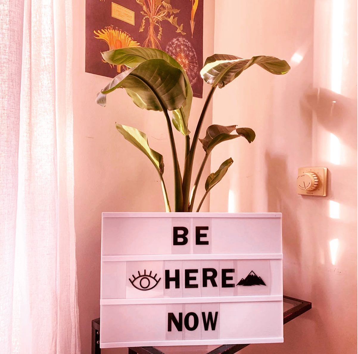 Staying out of the past keeps us out of depression, while staying out of the future keeps us out of anxiety. Eyes open in the here and now keeps us grounded into the moment.
We need to stabilize ourselves during these changing times, and anchor our awareness fully in the present moment - here & now.
.
.
.
#beherenow #presence #breath #breathwork #stability #anxiety #depression #grounding #anchor #spirituality #awakening #eyesin #focus #healing #mindbodyspirit #highvibes #higherself #indigochild #starseed #higherconsciousness #spiritualawakening #wisdom #lightworker #thirdeye #metaphysics #quantumphysics #truth #wisdom #inspiration #healthymind #mindbodysoul