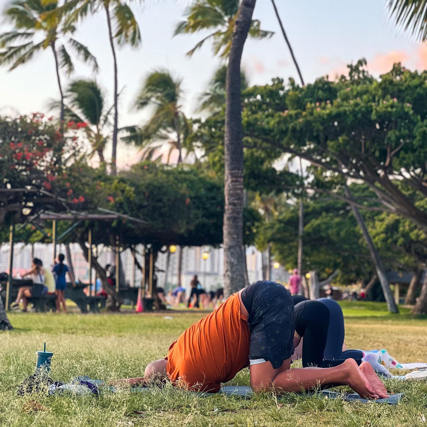 Benefits of YOGA ✨
.
AFTER A CLASS:
- Improved Brain Function
- Lower Stress Level
- Increased Flexibility
.
AFTER A FEW MONTHS:
- Lower Blood Pressure
- Improved Lung Capacity
- Reduced Chronic Neck and Back Pain
- Anxiety Relief
.
AFTER YEARS:
- Stronger Bones
- Healthy Weight
- Lower Risk of Heart Diseases