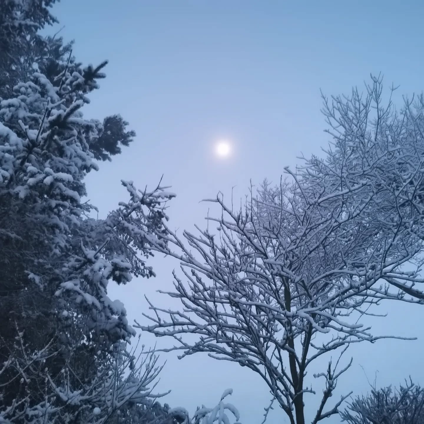 Take care if your out today.
Although dangerous it does look lovely! We would love to see your photos!
Also, if you notice a salt bin is empty. There is a simple form to fill in or phone number you can call to get it filled up.
https://www.scotborders.gov.uk/xfp/form/710