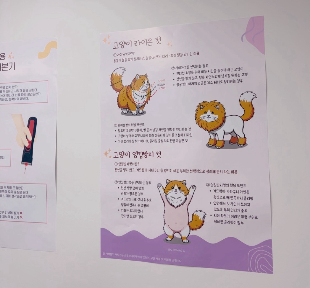 🌟 고양이 라이온컷 / 엉킴방지컷
많이 물어보시는 두 가지 컷을, 포스터 한 장으로 정리해봤어요.
원래는 학생들 교육용으로 만든 자료인데,
샵에 걸어두니 “설명하기 훨씬 편하다”, “고객님들이 한 번에 이해한다”는 얘기를 많이 해주셔서 공유하게 됐어요.
✔️ 라이온컷/엉킴방지컷 이 뭔지
✔️ 어떤 경우에 선택하면 좋은지
✔️ 디자인 포인트는 무엇인지
현장에서 고객상담용으로도 사용하기 좋습니다👍🏻
포스터 내용은 아래에 그대로 적어두었어요 ⬇️
🔷 라이온컷이란?
몸통의 털을 짧게 정리하고,
얼굴(러프)•다리•꼬리 털을 남기는 미용
🔹 라이온컷을 선택하는 경우
• 컨디션 조절을 위해 미용 시간을 줄여야 하는 고양이
• 전신을 밀지 않고, 털을 자연스럽게 남기길 원하는 고객
• 얼굴컷이 어려워 얼굴은 최소 터치로 정리하는 경우
🔹 라이온컷의 핵심 포인트
• 필요한 부위만 구분해, 밀 곳과 남길 라인을 정확히 인지하는 것
• 고양이 상태와 고객 니즈에 따라 미용사가 길이를 조절해 디자인
• 가위 정리가 필수가 아니며, 클리핑 중심으로 진행 가능한 컷
🔶 엉킴방지컷이란?
전신을 밀지 않고, 겨드랑이 사타구니 등 엉키기 쉬운 부위만 선택적으로 정리해 관리 하는 이용
🔸엉킴방지컷을 선택하는 경우
• 전신 삭발 없이 엉킴 관리가 필요한 경우
• 겨드랑이•사타구니 위주로 엉킴이 반복되는 고양이
• 외형은 유지하면서 관리만 필요한 경우
🔸엉킴방지컷의 핵심 포인트
• 겨드랑이•사타구니 라인을 중심으로 배 안쪽까지 클리핑
• 옆면에서 컷 라인이 보이지 않도록 부위 인지가 중요
• 시야 확보가 어려운 위험 부위로 섬세한 클리핑이 필수
📌 미용사분들 구매 문의가 있어서
소정의 인쇄/배송비만 받고 전달드리고 있습니다.
필요하신 분들은 DM 주세요 🙂
‼️ 본 저작물의 저작권은 스루밍아카데미에 있으며,
무단 사용 및 무단 배포를 금합니다. ‼️
#고양이미용학원 #스루밍아카데미 #라이온컷 #엉킴방지컷 #고양이미용
