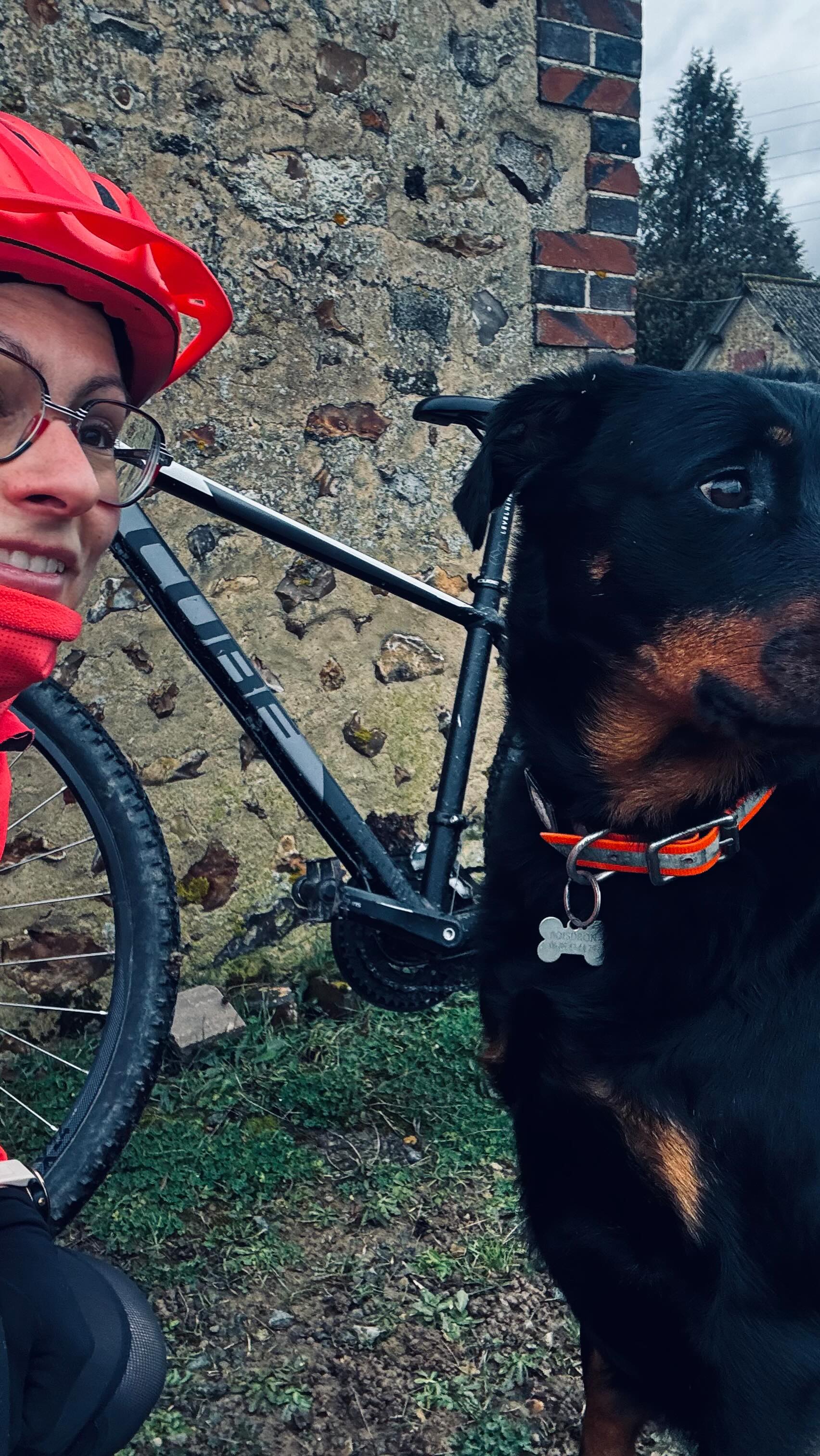 Sortie VTT sur route en solo 🚴🏽♀️🤗
- Vent de face ✅
- Humidité, éclaboussures & fraîcheur ✅
- Jambes qui brûlent ✅
- Gros kiffe ✅
- Genou : RAS ✅
- Super accueil post sortie 🐶✅
#vtt #cyclisme #vélo #tfl #sport