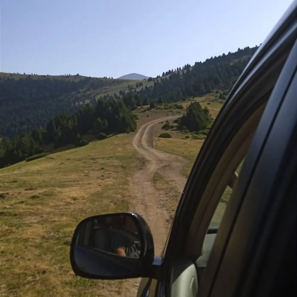 La dicha no está solo en el placer sino en el camino hacia este. Los miradores de Ordesa son maravillosos pero además, durante nuestro itinerario hacia la cima, el frondoso bosque nos guarda diferentes sorpresas que espero con ansia cada día.
🦅🐿️🐐🌳🦌🦊🐺❤️
#sorpresas #flora #fauna #itinerario #cima #placer