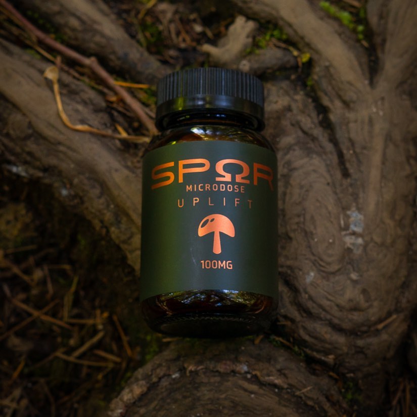 Uplift 100MG is back in stock! 🍄 Black Friday Sale coming this week.