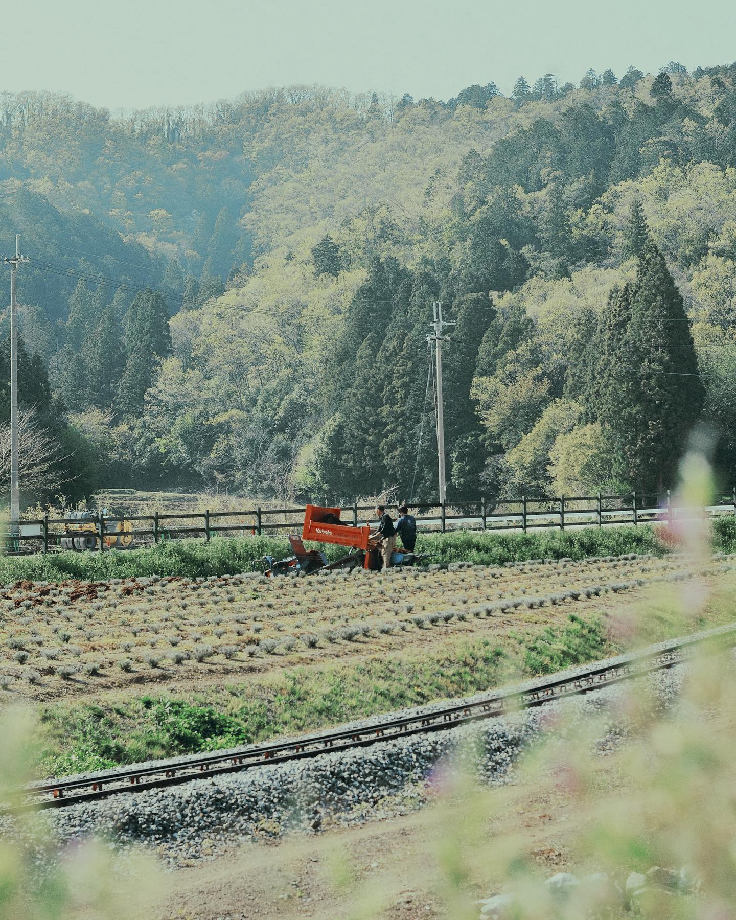 働く人シリーズ2
#farmer #green #countryside