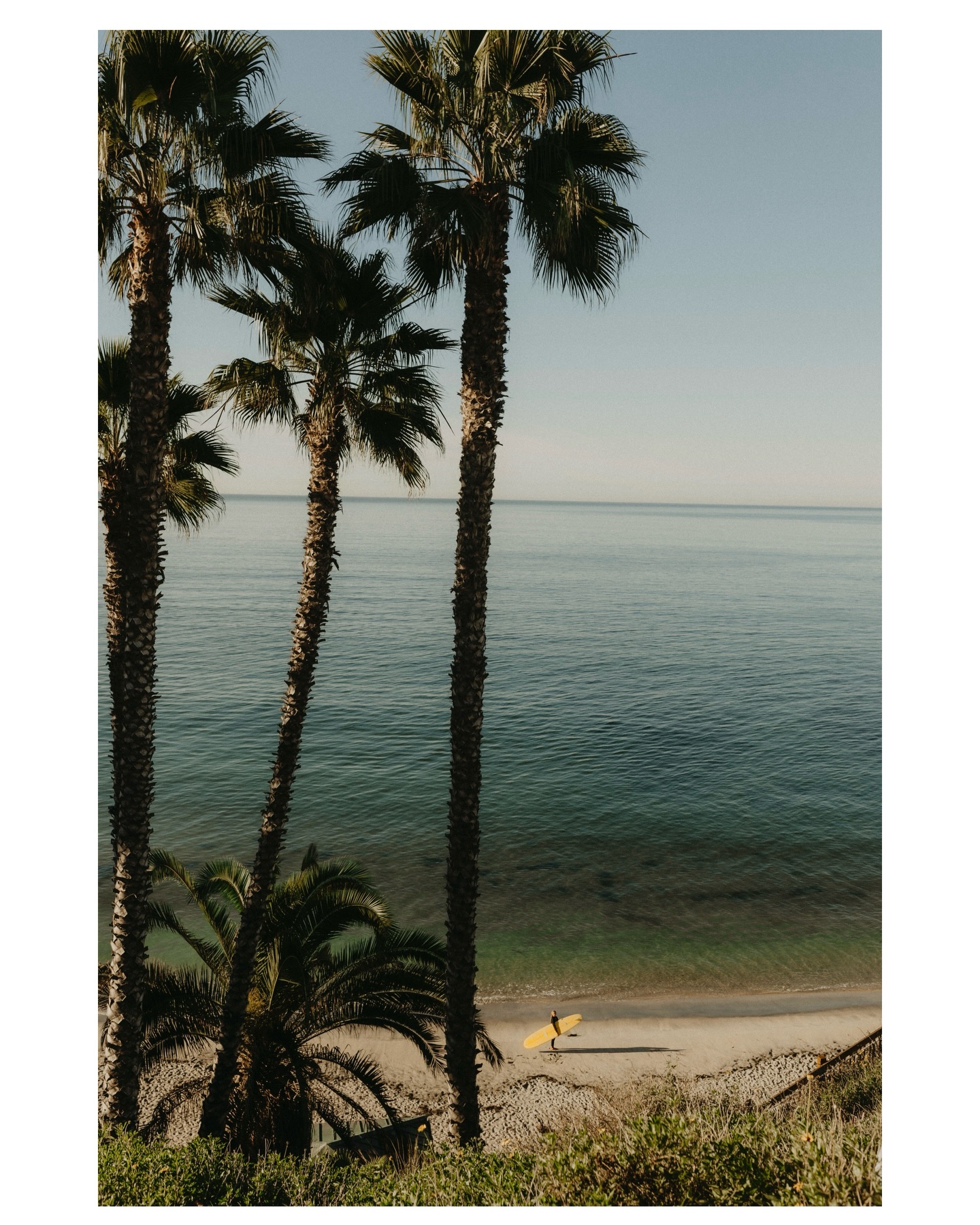 A San Diego morning with surfer @kayla.k.luce
#openrangevisuals #sandiegophotographer #surfphotography #commercialphotographer #brandingphotoshoot