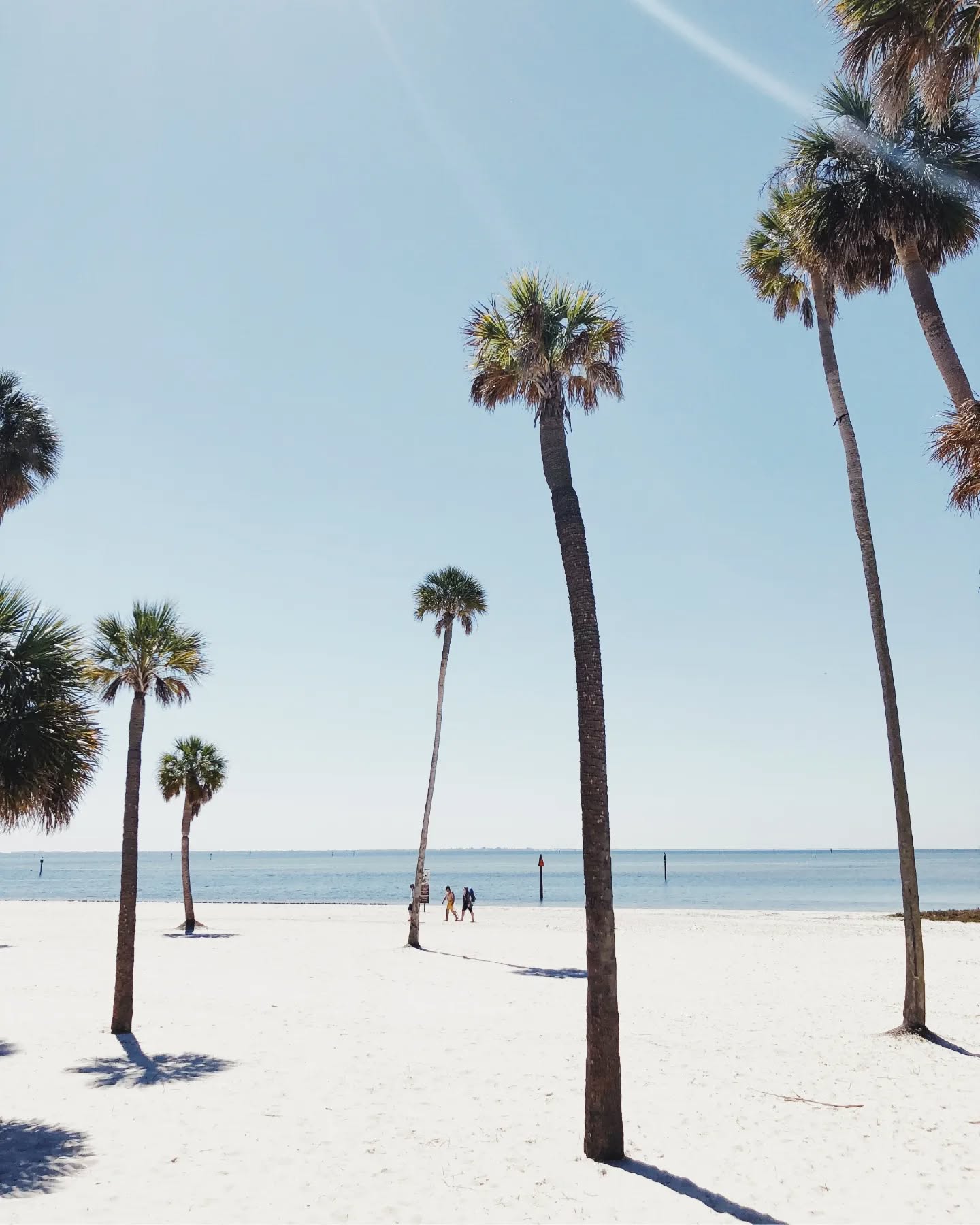 Our primary inspiration in creating the brand's image is the ocean.
The ocean is multifaceted, beautiful in its natural power, depth, and vastness, much like each one of us.
It is never the same, never static, and harbors its own unique, mysterious inner world.
This stunning aquatic force is further enhanced by the enchanting spectacle of sunsets and sunrises.
When we think of the ocean, it brings to mind warmth, white sands, sea salt, health, the glow of a summer tan, romance, family, friends, singularity, the splendor of nature, dreams, cherished ones, happiness, laughter, joy, relaxation, and the essence of tranquility.
We draw the same parallel with each person and our “About You” workbook.
Each of us is beautiful, unique, and filled not only with a natural, rich inner world but also with meaning.
#Workbook #SelfImprovement #CreativeJourney #AboutYou #AboutYouCo #aboutyouworkbook