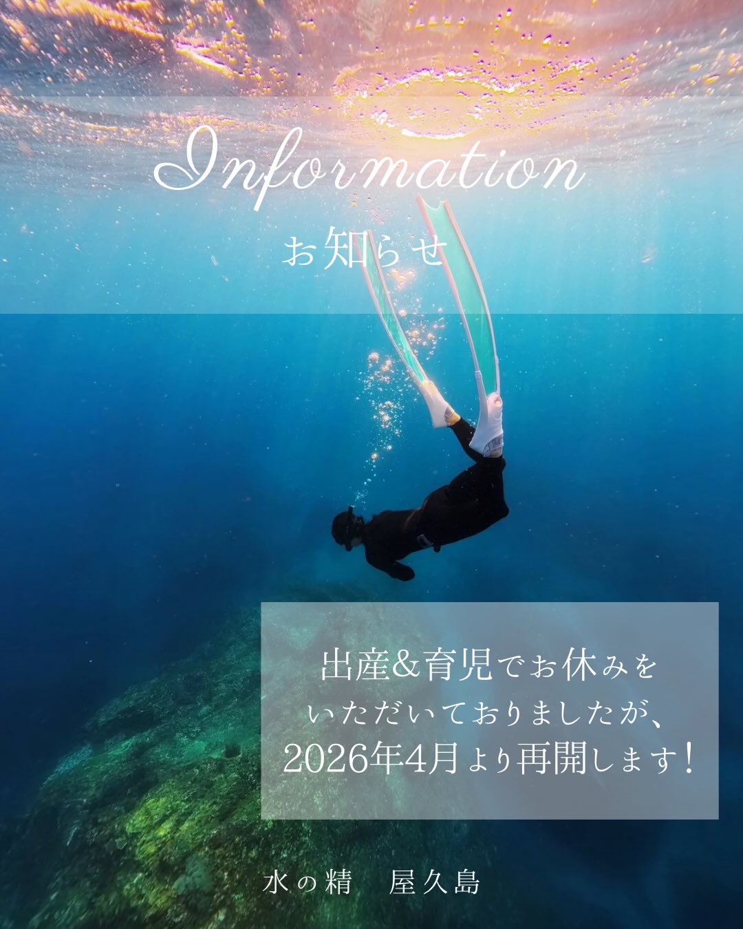 【ツアー再開のお知らせ】
出産&育児でお休みをいただいておりましたが、
2026年4月より、ツアー再開いたします❣️
お陰様で、昨年9月に無事に出産でき、
スクスクと成長中です👶✨
昨年の今の時期、ベビーがお腹にいる時に、
屋久島に来ているクジラたちとご縁が沢山あり、
娘の名前は、クジラの古語の勇魚(イサナ)
の音をいただき、
「衣紗奈👶」と名付けました🐳
2026年、皆様と一緒に屋久島の海を
楽しめたら嬉しいです🤿💓
どうぞよろしくお願いいたします🙇
𓇼𓇽𓇼𓇼𓇽𓇼𓇼𓇽𓇼𓇼𓇼𓇽𓇼𓇼𓇽𓇼𓇼
【水の精 屋久島】
嵯峨 京子|SAGA KYOKO🧜
こちらをタップ👆
プロフィールの1番下をタップすると
ホームページにとびます🐠
フォロー嬉しいです💖
海のおそうじ🚮✨
×
【シュノーケリング 半日】1グループ貸切
8,300円/1人
7,700円/2人
6,800円/3人
【スキンダイビング 半日】1グループ貸切
11,300円/1人
9,900円/2人
8,600円/3人
【スキンダイビング ステップアップコース】
1グループ貸切
12,200円/1人
11,300円/2人
9,900円/3人
【ファンスキンダイビング】
1グループ貸切
7,700円/1人
6,800円/2人
5,000円/3人
【体験ダイビング 半日】
1グループ貸切
12,200円/1人
11,300円/2人
9,900円/3人
お支払いは現金のみです🌺
𓆉𓈒𓂂𓏸𓆟𓏸𓂂𓈒𓈒𓂂𓏸𓆜𓆝𓆞𓏸𓂂𓈒𓈒𓂂𓏸𓆉𓏸𓂂𓈒𓂂𓏸𓆟𓏸𓂂𓈒𓇼
#水の精
#屋久島暮らし
#自然と自分に優しい暮らし
#楽しく安全に海遊び
#人が入れば入るほど海を綺麗に