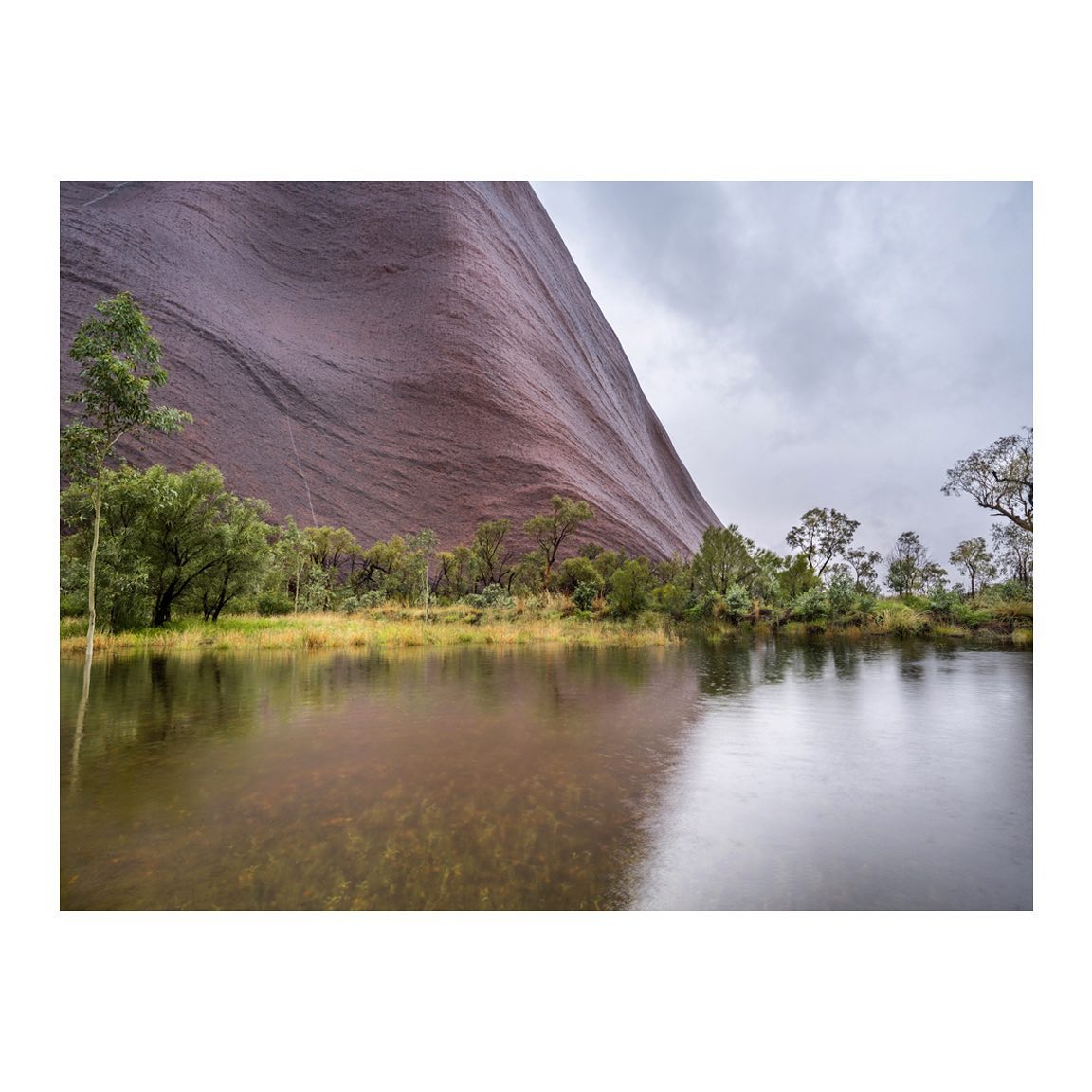 Ever seen a lake next to Uluru?? Neither had I until this Ex-tropical cyclone passed over. It’s hard to believe that this lake didn’t exist 12 hrs before I took this photograph. Gotta love nature!
#australia #fujifilmgfx100s #fujifilm #australiagram #outbackaustralia #outback #uluru #ulurukatatjutanationalpark #australiangeographic #nt #ntaustralia #coloursofnature #outbacknt #seeaustralia #discoveraustralia #getoutstayout #pond #waterfalls #landscape #landscapehunter #visitnt #country @fujifilmx_au @travelaustralia @australia @visit.nt @exploreuluru @seitoutbackaustralia