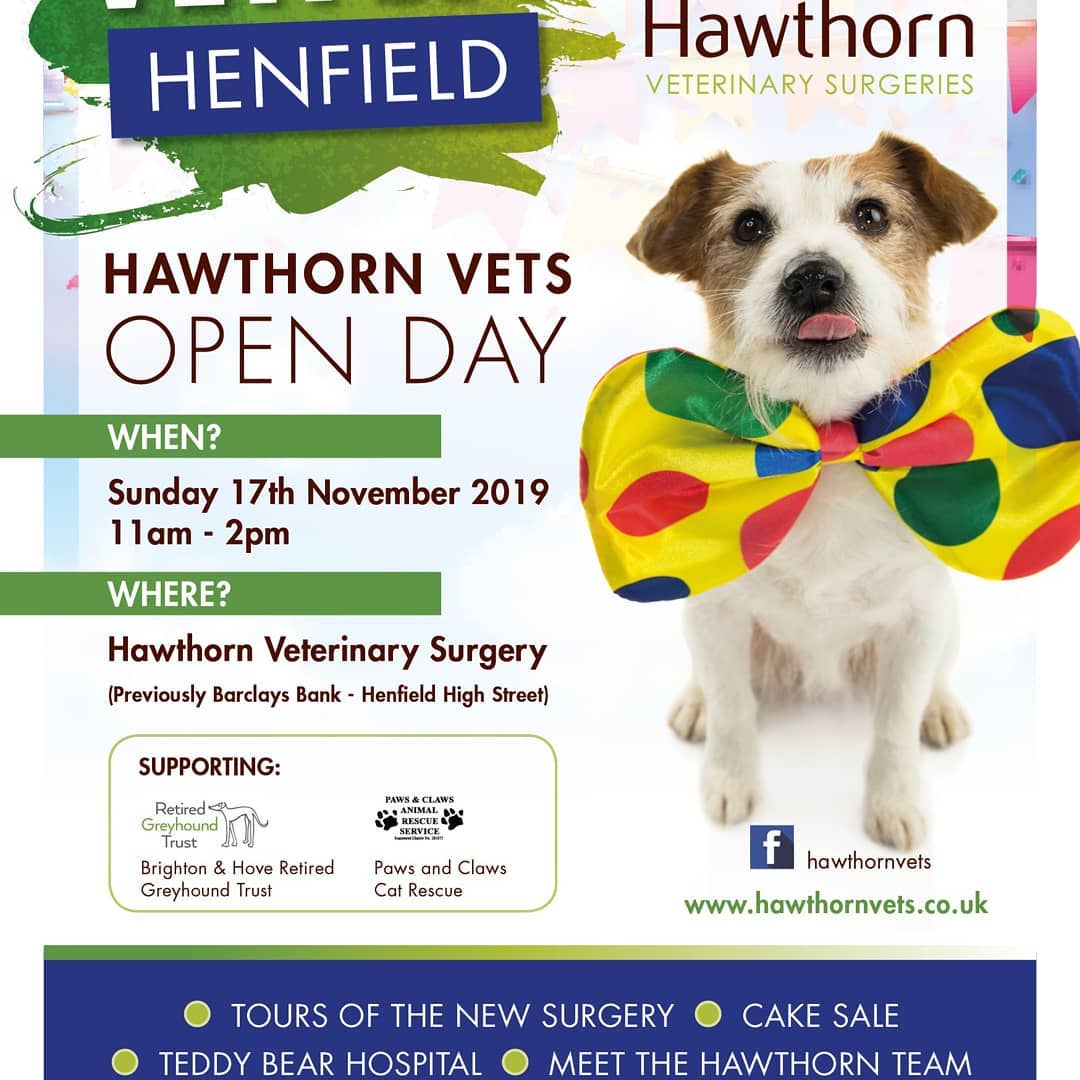 Hawthorn Vets in Henfield are have an open day for thier brand new practice this Sunday 17th Nov. I'll be there to ask any behaviour and training related questions you may have. Come along and say hello and for a chance to win a some amazing raffle prizes.
#hawthornvets #henfield #vets #vetnurses #vetclinic #vetpracticesussex #newvetclinic #countryvets #independantvetclinic #vetfest #animalbehaviourist #dogbehaviourist #catbehaviourist #dogbehaviourconsultant #apbc #abtc #dogbehaviour #puppybehaviour #catbehaviour #sundayfun #freeadvice