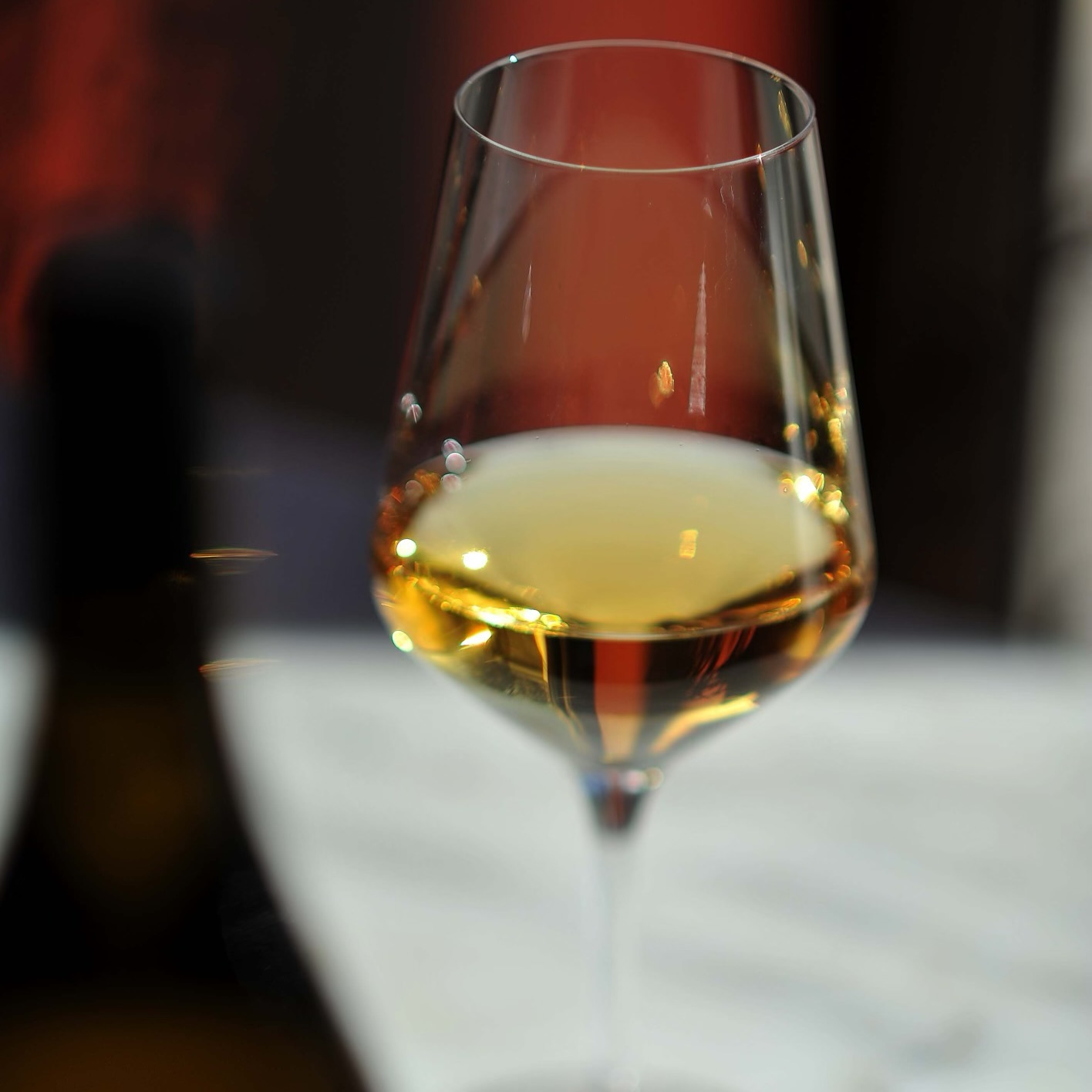 Keep yourself updated, subscribe to our newsletter through our website.
No Spam, just wine🌿
#rocknbolla