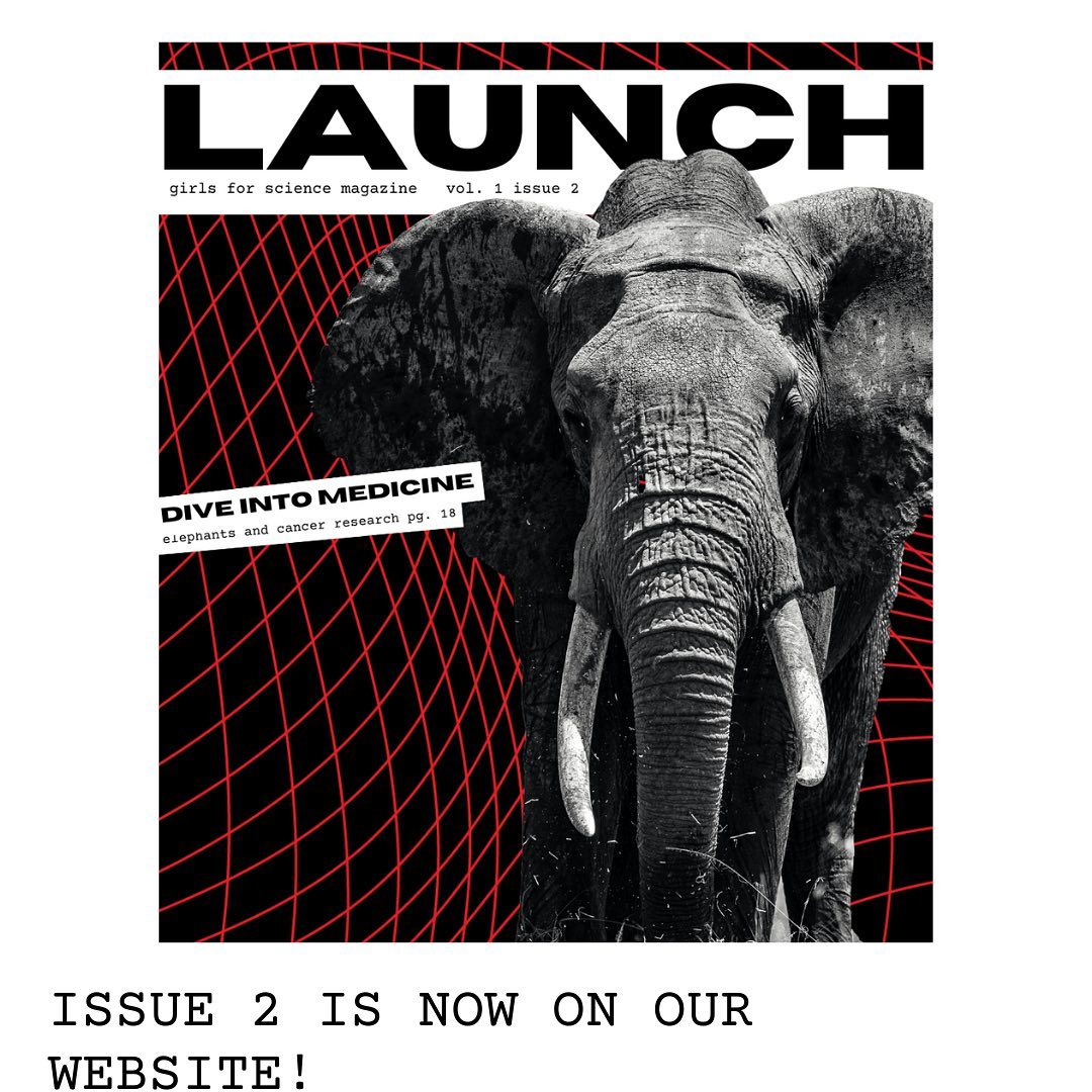 🚨 Issue 2 of the Girls for Science Magazine is out NOW‼️Check it out using the link in bio 🚀🤩 #girlsinstem #magazine #girlsforscience #womeninstem #science #technology #womeninstemfields #womenpower