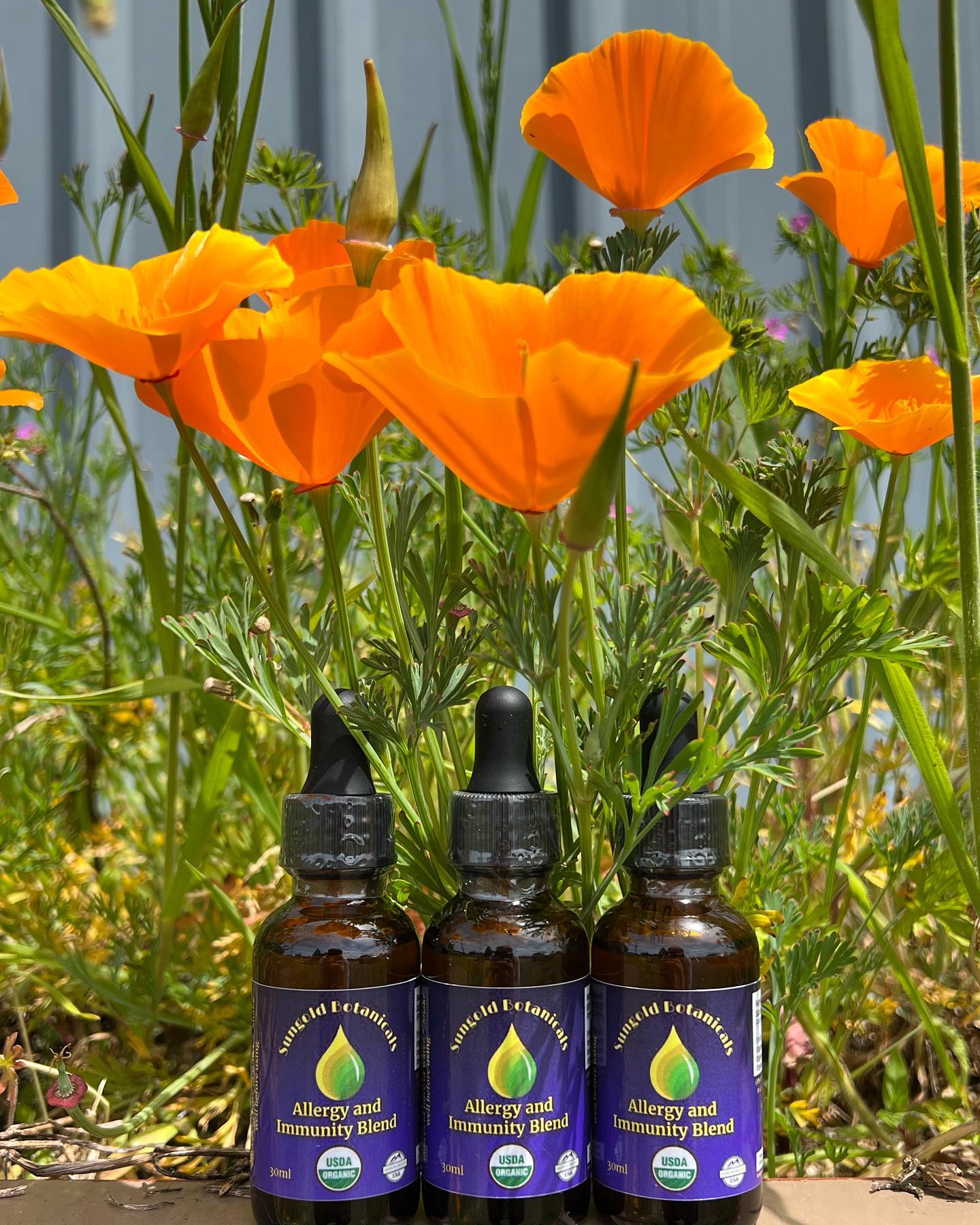 Spring is in full swing and you know what that means here in the valley… #elecampane, #echinacea, and #ginger make up our thoughtfully created allergy and immunity tincture! Get ya self some today!
#traditionaltincture #organicbotanicals #biodynamicfarming #allergyseason #getyasome #springisintheair #nativepoppies #funinthesun #botanicalwellness