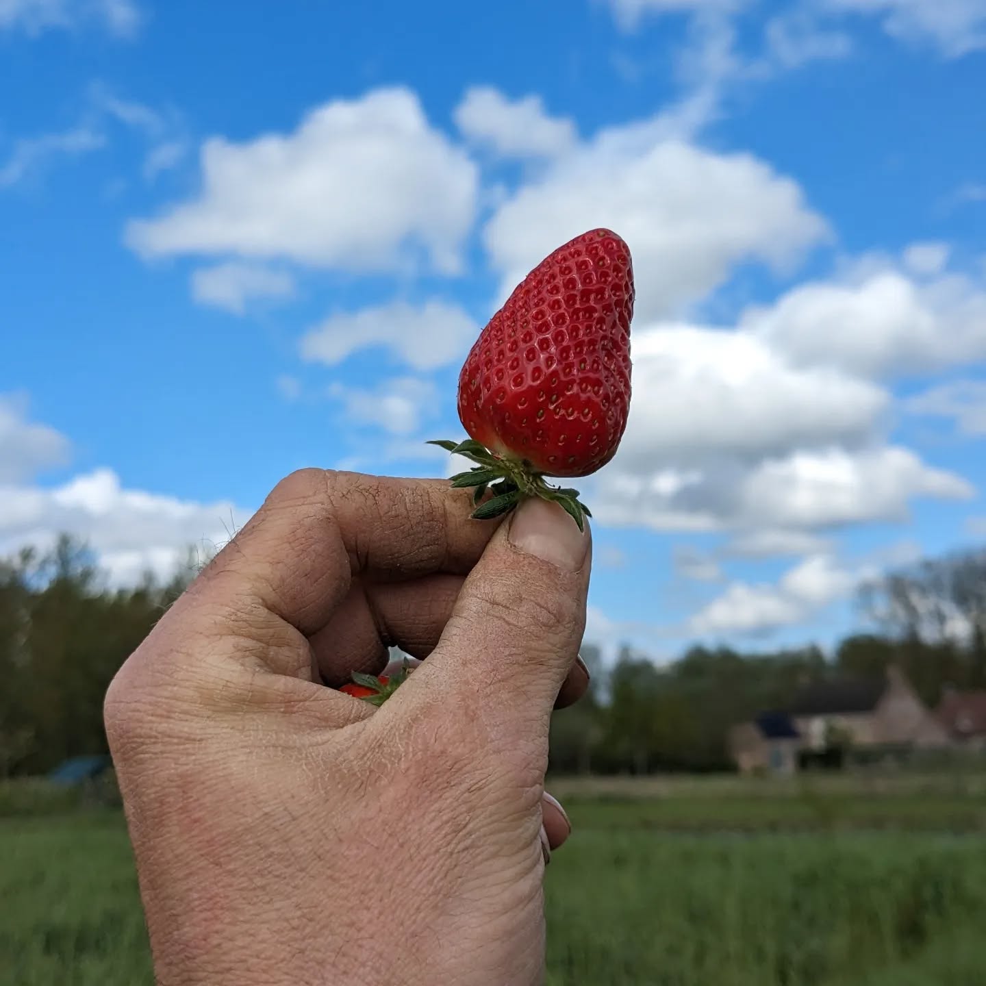 Coming soon 🚀
😘