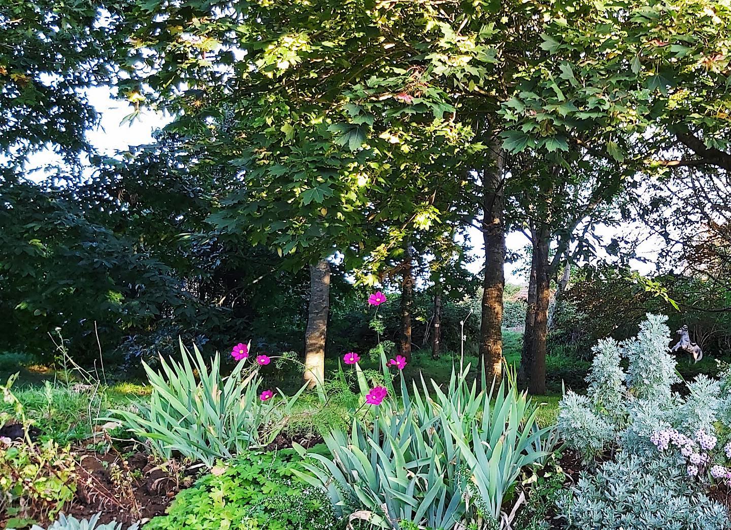 We were thrilled to receive this lovely feedback from some of our guests who stayed this month!
“We held a family birthday weekend at Symondsbury Manor in early September 2022. We were a party of 20 adults, across three generations and five under 5 year olds. The weekend was a great success in every way, and we would love to have a family celebration there again. The house is fabulous, beautifully laid out, with colourful decor and lovely grounds, all quite magical.
The communal spaces are large and airy - our entire party was able to sit around one enormous dining table; there is also a games room - our little ones loved that - and a spacious lounge area.
The hosts of Symondsbury are considerate in so many ways to their guests: the well equipped kitchens, plenty of everything for everyone; the three large freezers, the quantities of crockery and cutlery.
We self catered the whole weekend and had everything we needed and more. We highly recommend this five star property.”
Taking bookings for 2023 now😊
Enquire at: peter@symondsbury.com
#symondsburymanor #symondsbury #dorset #bridportdorset #jurrasiccoast #dorsetcoast #selfcateringaccommodation #selfcateringholidays #selfcateringholidaysuk #selfcateringholidaysdorset #dorsetholidays #uniqueholidayrentals