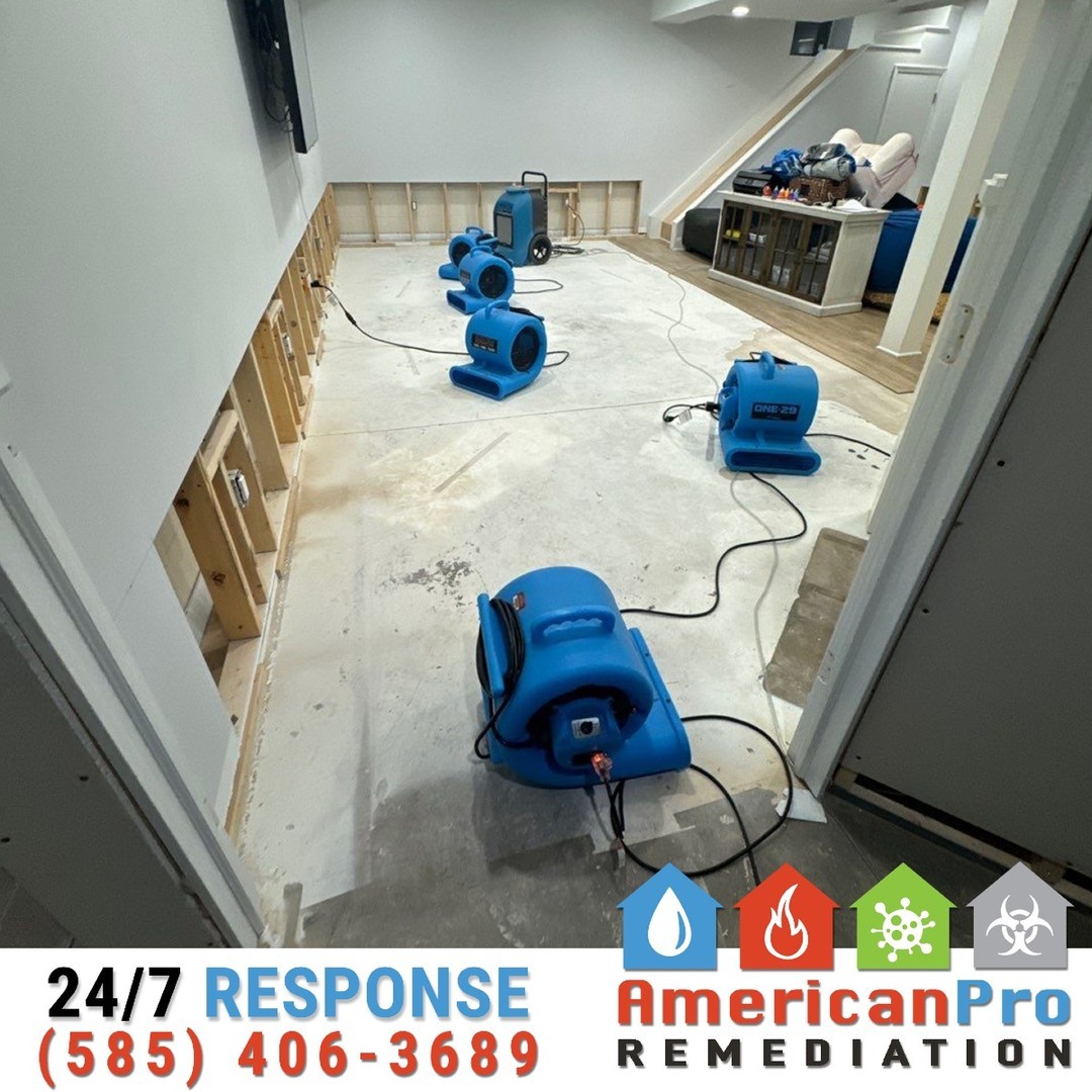 💧 A flooded basement can feel overwhelming, but restoration is possible!
Imagine walking into your basement to find water pooling on the floor, soaking into the walls, and threatening everything you’ve worked hard to protect. That’s when American Pro Remediation steps in to turn things around.
Our team arrives quickly, assessing the damage and getting straight to work. The water is extracted, but the job doesn’t stop there. Beneath the surface, moisture has crept into the drywall and the wooden framing. If left unchecked, it could lead to mold, odors, and long-term structural issues.
To fully restore the space, we carefully cut away the water-damaged drywall, exposing the frame for thorough drying. Industrial-grade equipment hums as fans, dehumidifiers, and air movers work together to eliminate every trace of moisture.
Water damage is tough, but with the right help, your basement can be better than ever. 🏠💙
📞 Call us at 585-406-3689 if you’re dealing with water damage — we’re here to help!
#AmericanProRemediation
#BasementRestoration
#WaterDamageCleanup
#FullRestoration
#DisasterRecovery
#HealthyHome
#IICRC
#WeRestorePeace