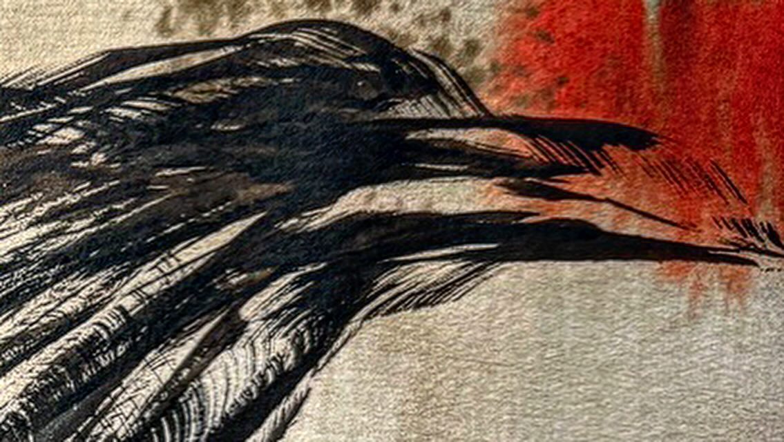 Underpainting — I could stop right there.
#FWink #crowportrait #crowpersonality
#individualsmatter #crowdrawing