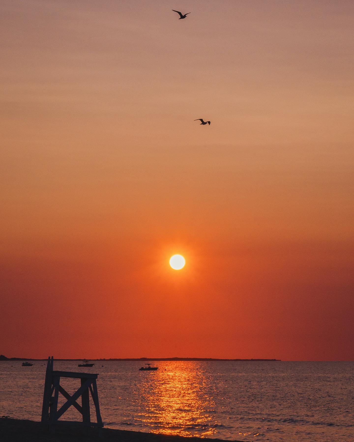 Galley sunsets never disappoint 🔥
#nantucket #galleybeach #sunsetlover #seaworthynantucket 🌊