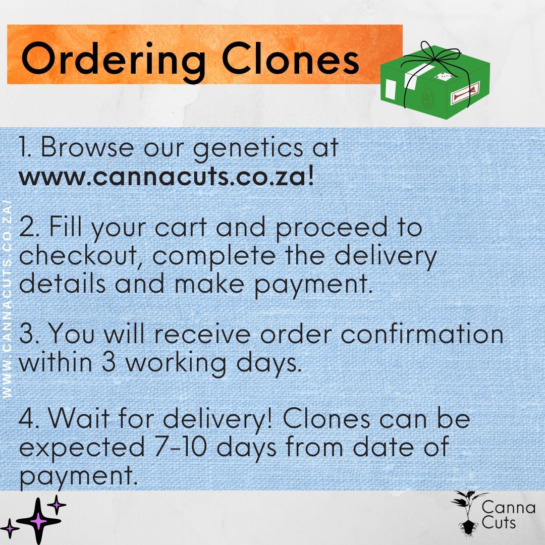 It's that easy! Head over to our site and place your order now.
For larger orders, send us a WhatsApp. If your worried about waiting, send us a WhatsApp.
www.cannacuts.co.za
#clones #cannacuts #growyourown