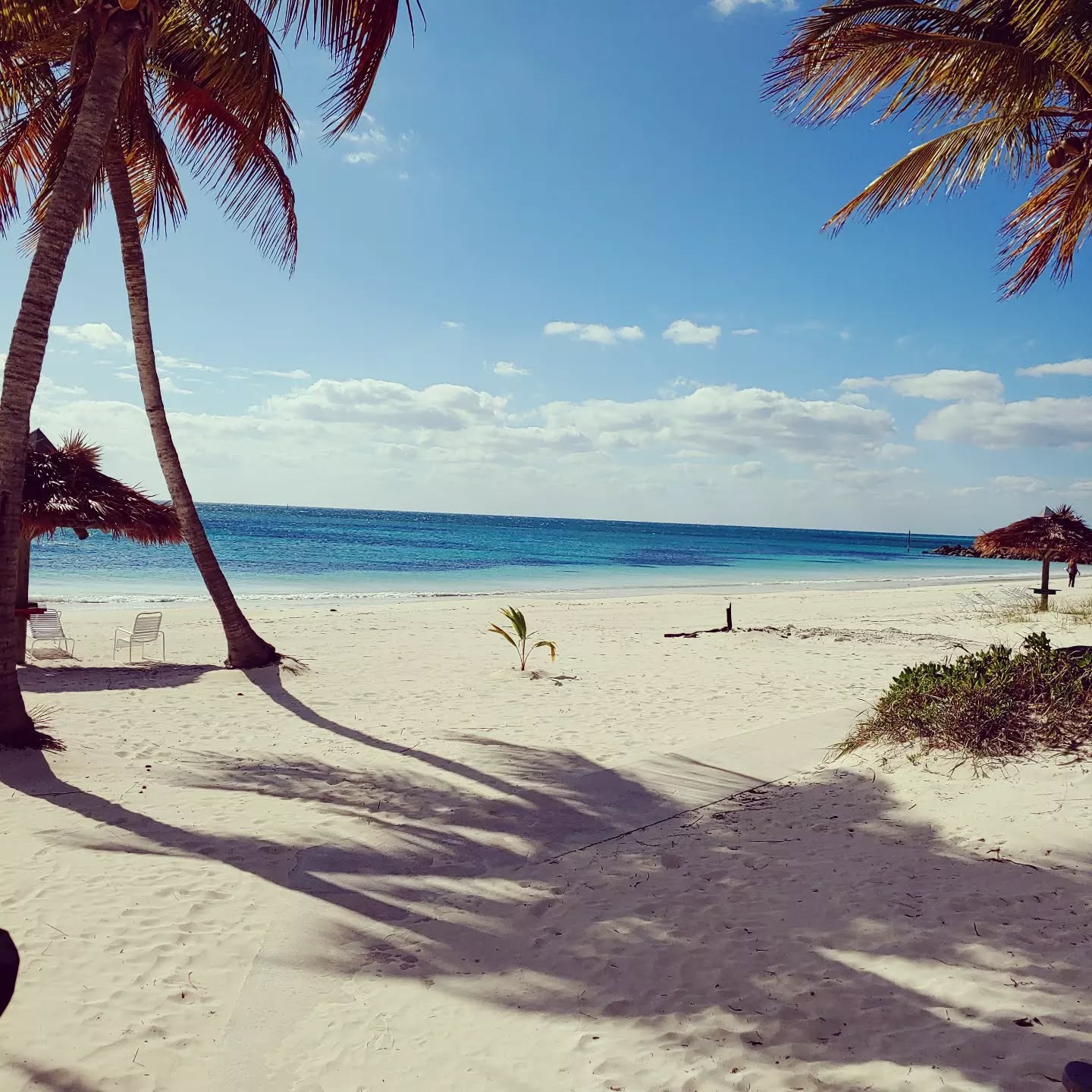 I will be out of the office and away from my phone till February 5th. If you DM me I will get back to you as soon as I can. You can also book online at my website (link in bio)! Cheers!🎉