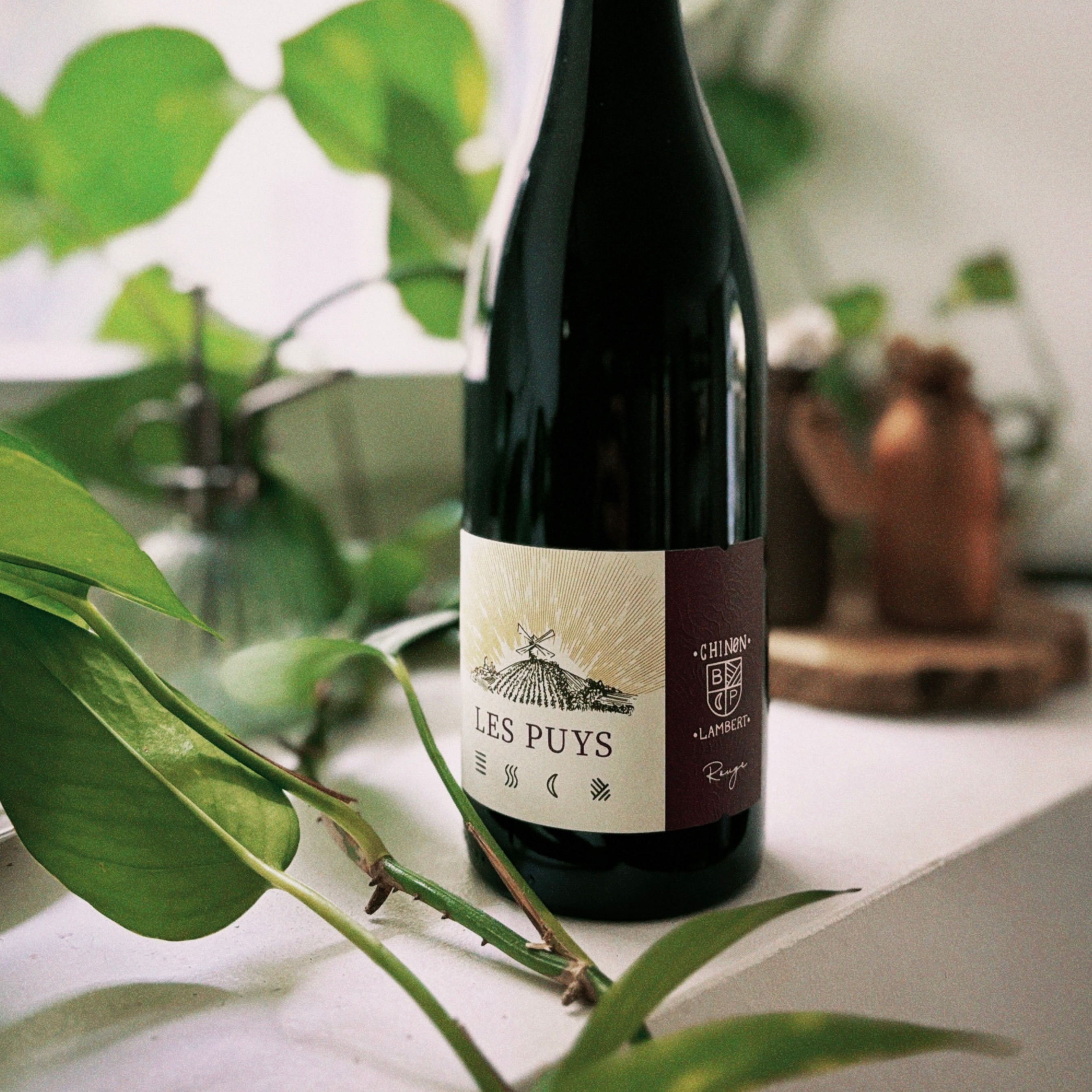 Les Puys 2018, Cabernet Franc. ๐
@domaine_lambert_chinon
#rocknbolla #naturalwine #switzerland