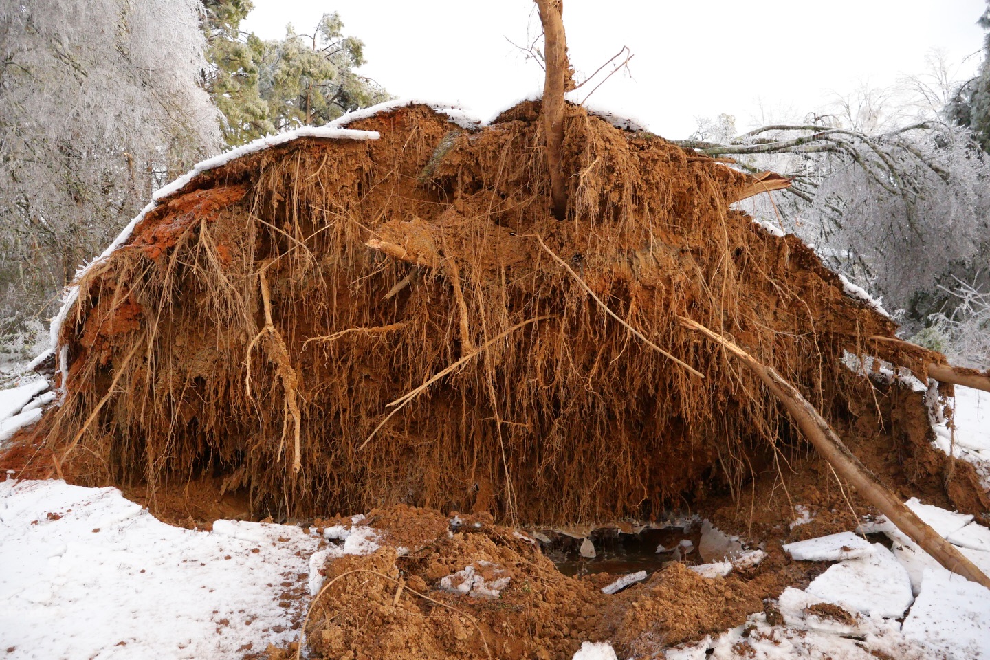 Update: Thursday 1/29
We’ve had lots of melting over the last two days. We still have no power but do have water restored as of this morning. We still have no estimate of when power will return.
With water coming back, we discovered two busted pipes and some flooding in our directors house. Recovery efforts have started there.
We’ve also lost a couple of back porches on cabins, but all other buildings and structures still seem in good shape.
In addition, a handful of friends and neighbors brought chainsaws and hands to begin the laborious process of clearing our Main Camp area. This will be the biggest need going forward, as all roads and trails are impassable right now.
Thanks to everyone for the prayers. Our biggest need is like the majority of our community, we need power. So keep praying for that. We will keep you updating everyone as much as possible.