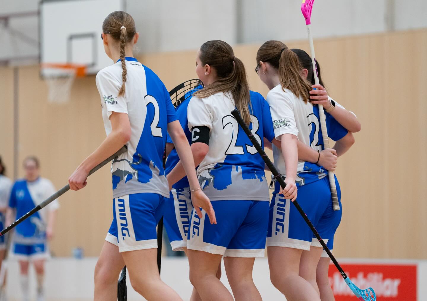 Fotos vom vergangenen Heimspiel!❤️
🔵⚪️
Danke, @n.rechberger! 🐐
🔵⚪️
#fotos #lioness #swissunihockey #zurich #meisterschaft