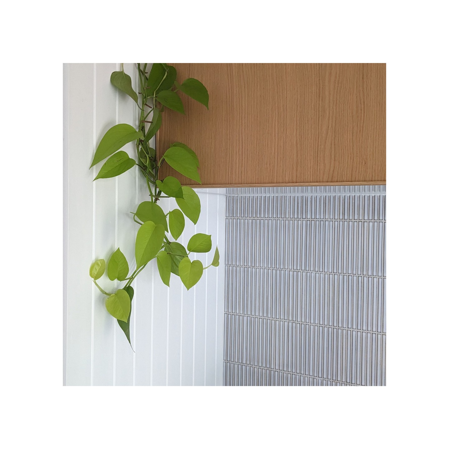 Texture. Warmth. Life. We balance these elements to bring simple materials and ideas together to create elegance and delight.
This kitchen has been recently completed, it's simple and feels serene. If this is what you need, get in touch, we are here to help.
#canberraarchitecture
#canberrarenovations #residentialarchitecuture #interiordesign #canberrainteriors #indoorplants @newhousemates @plotdesigngroup @silkpropertystyling