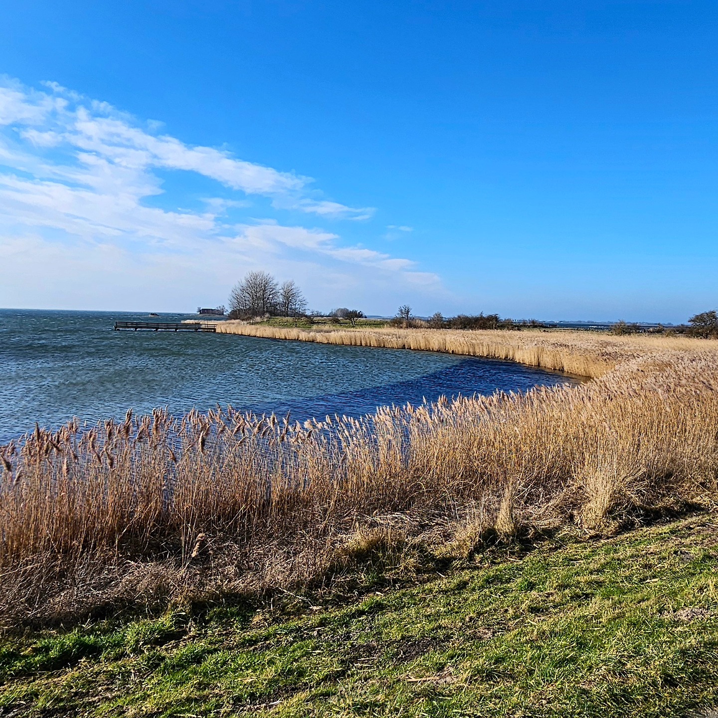Kalt und windig, aber wunderschön ist es dieser Tage auf Fehmarn. Wir vom 'Haus im Felde' Team nutzen die Zeit für die Verschönerung der Ferienwohnungen und ab und zu für einen Spaziergang am Meer.
In these days it's cold and windy but really beautiful on the island Fehmarn. Our Team from 'Haus im Felde' takes the time to beautify the holiday appartements and to do a walk at the ocean from time to to time.
#hausimfelde
#Fehmarn
#sonneninselfehmsrn
#winterspazietgang
#Ostsee
#ferienammeer
#Schleswig-Holstein
#urlaubmithund
#urlaubmitkind
#Urlaubammeer
#kitesurfing
#windsurfing
#Wingfoil
#biketour
#Holidayappartements
#holiday
#holidayattheocean
#balticsea