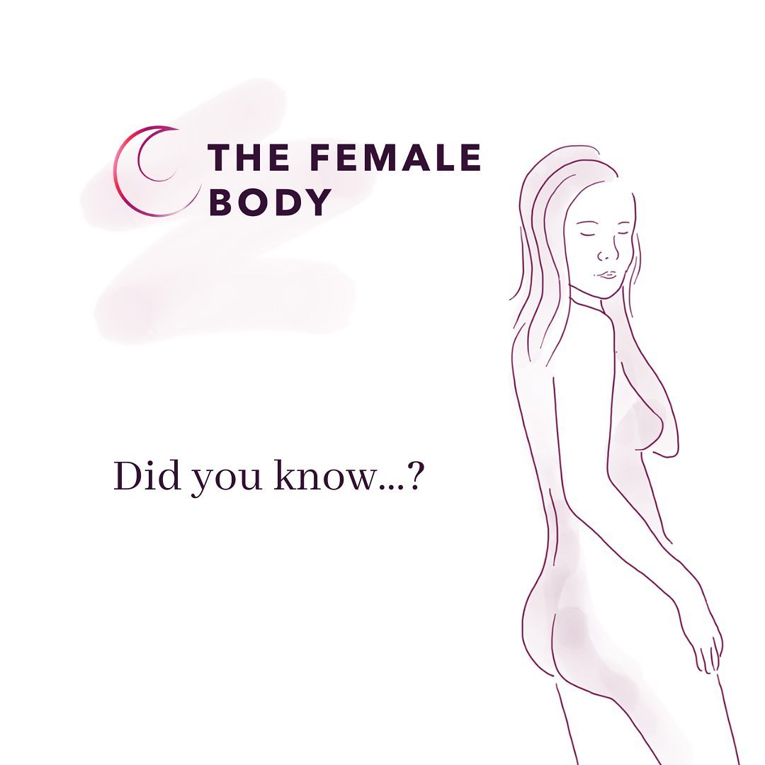 Did you know…?
•A woman’s metabolism and appetite is suppressed by oestrogen in the first part of the cycle
•Post ovulation with the production of progesterone, her metabolism and appetite increases
•Inflammatory foods like sugar, dairy & gluten will cause havoc with your endocrine system
•Immune system responses are higher in first part of cycle
•Immune system responses are lower in second part of cycle
•Gut microbiome is tightly linked to endocrine system
•Stress responses disrupt the endocrine system
The design of the body never ceases to blow me away ✨💖🫠
#knowyourbody #womenshealth #followyourflow #hormonalhealth