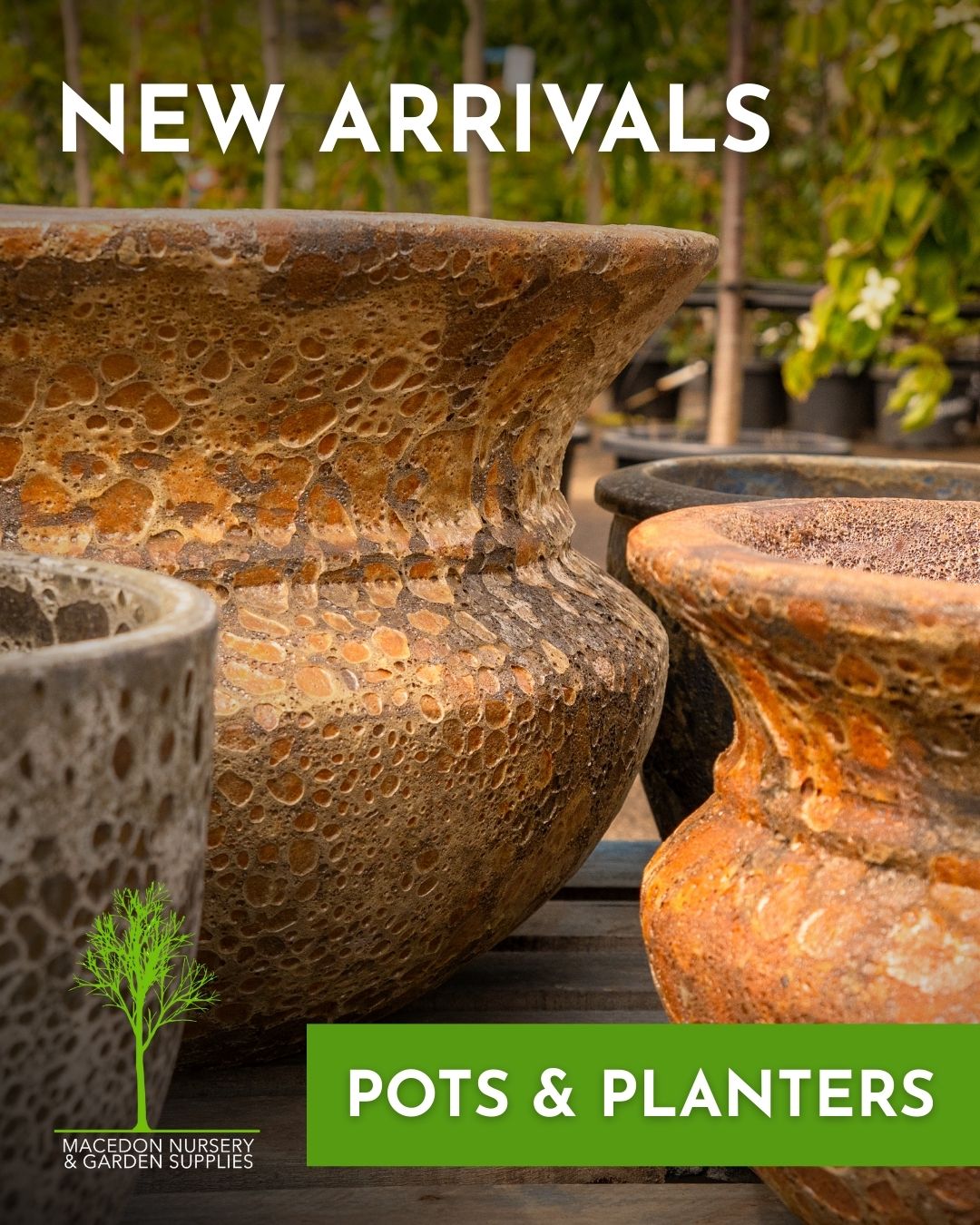 New season pots and planters have arrived - from modern statement pieces to practical options for every corner of the garden.
Mix textures, shapes and finishes to create depth, contrast and structure in your outdoor spaces.
.
.
.
.
.
.
#macedonnursery #macedongardensupplies #macedonrangesgardens #macedon #macedonranges #mountmacedon #woodend #gisborne #melbournegardens #macedonrangesnaturallycool #visitvictoria #potsandplanters #gardendesign #outdoorstyle #containerplants #localgardencentre