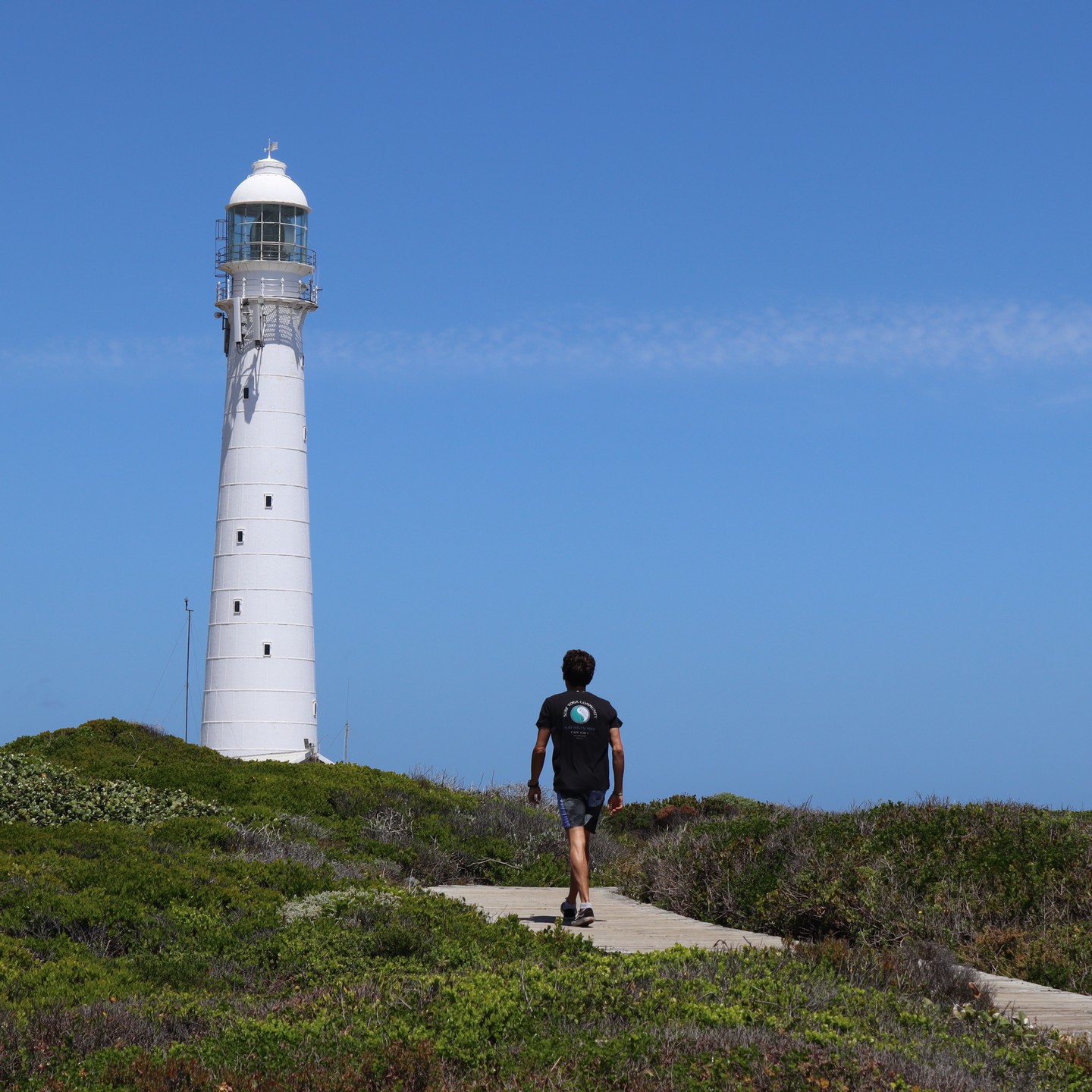 Fun Cape tour days #adventure #surfari #lighthouse #outdoorsy