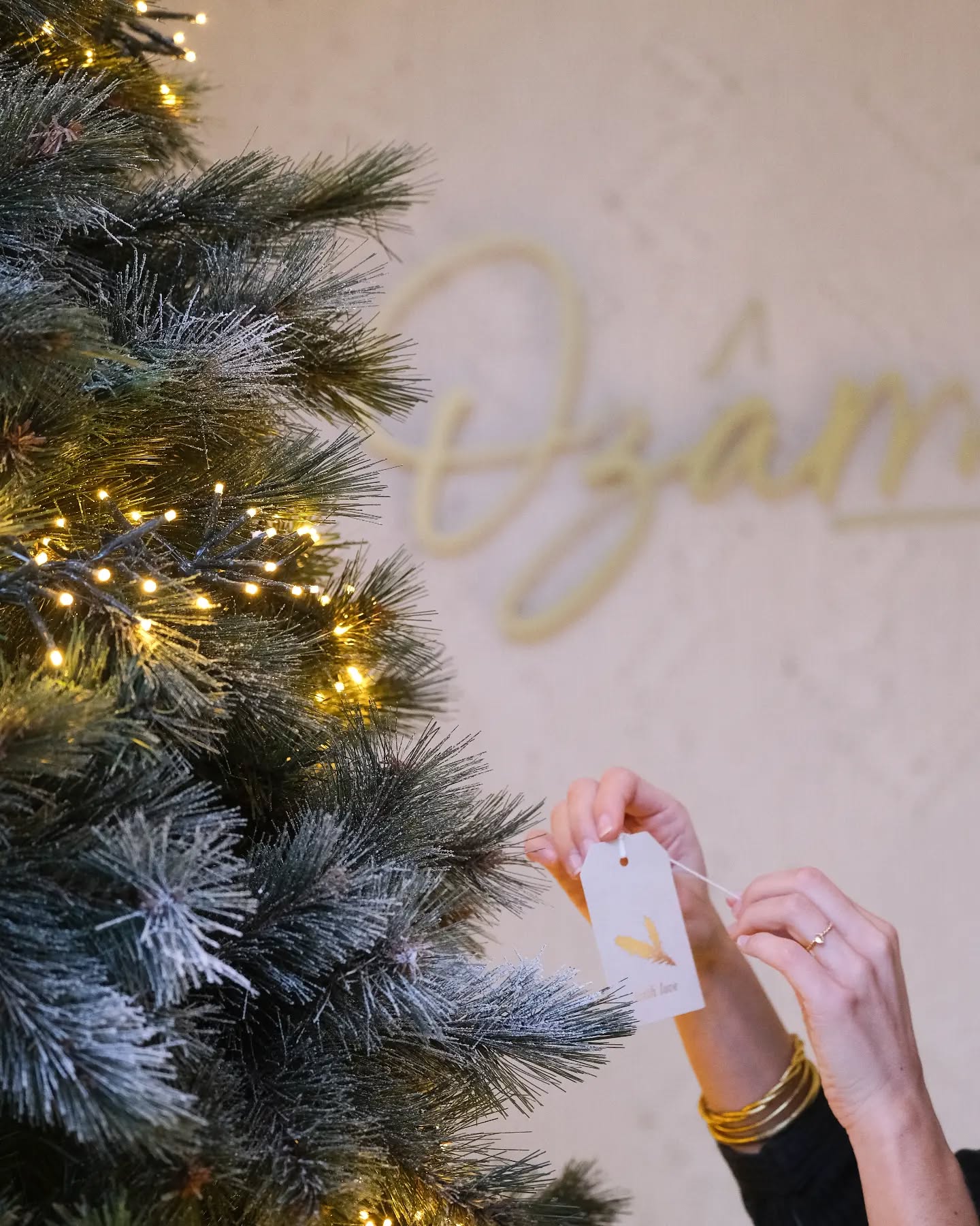 𓋹 GRATITUDE 𓋹
__
Il y a 2 années, nous avons créé Ozâme pour donner... En cette fin d'année, c'est nous qui avons reçu. Nous sommes tellement fiers et honorés d'avoir une si belle communauté, délicate et attentionnée...
En 2024, notre créativité va déborder, on vous promet des flows enchantés, des retraites féeriques, des stages et formations uniques.
Tout cela pour que nos corps se détendent toujours plus, que nos coeurs s'ouvrent plus grand et que de nos douleurs, nos âmes vibrent d'un nouvel élan...
__
Nous prenons le temps de nous ressourcer pour une nouvelle année de reliance ensemble dès le 3 janvier.
Namaste,
Marine & Jérémy
__
#ozamefamily #maisonholistique #schoolofectasy #immersivexperience #lovexpension #harmony #energyflow