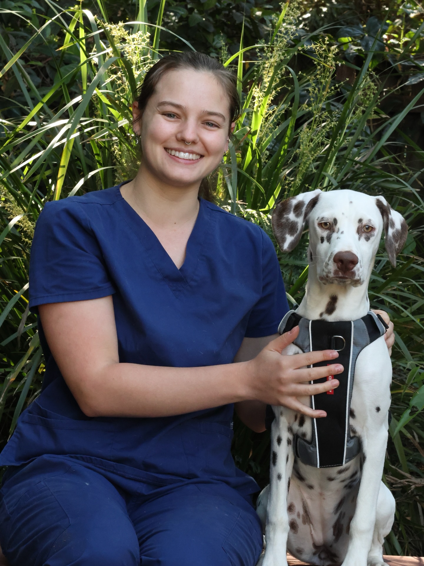 Huge congratulations to our amazing Olivia (Livy), who has recently completed her Certificate III in Animal Studies 🎓
Olivia has been an integral part of our team since joining us almost a year ago. She plays a vital role in keeping the clinic running smoothly and supports everyone—from our vets and nursing team to reception.
She’s an incredibly attentive, eager, and fast learner, and over the past year has been gradually stepping into more technical nursing responsibilities.
We can’t wait to see what she continues to achieve as she moves into her next round of studies and grows further in her nursing career. We are so grateful to have Livy at Chancellor Park Vet Surgery💙