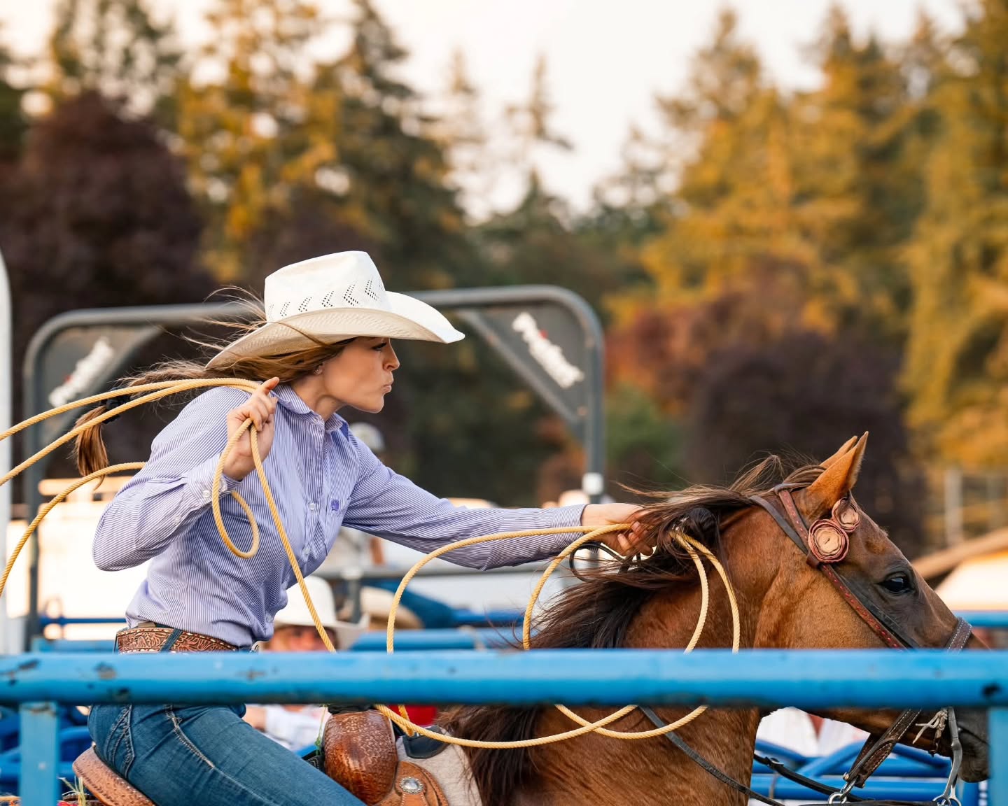 We want to try something fun with Lost Locals Media for 2026!
In the spirit of the "Year of the Horse," we are launching a search for a select group of equestrian athletes who are as dedicated to their craft as we are to ours. This isn’t just a model call, it’s a strategic partnership for serious equestrians.
✨Introducing: The Lost Locals Equestrian Ambassador Program!✨
From the quiet dust of the practice pen, to the lights of the winner’s circle, we want to document and support your journey with your horse!
3-5 selected Ambassadors from all disciplines will receive: ✨ Exclusive LLM Merch. ✨ Significant Session Discounts. ✨ Referral Rewards & Performance Promos. ✨Join a small supportive community of equestrian enthusiasts who want to see you reach your goals and document your journey.
THE TIMELINE: 📅 Applications Go Live: February 1st ⌛ Applications Close: February 28th
WANT FIRST ACCESS? Drop a "2026" in the comments if you want us to DM you the application link the second it goes live.
We are so excited to work with some amazing riders this year!